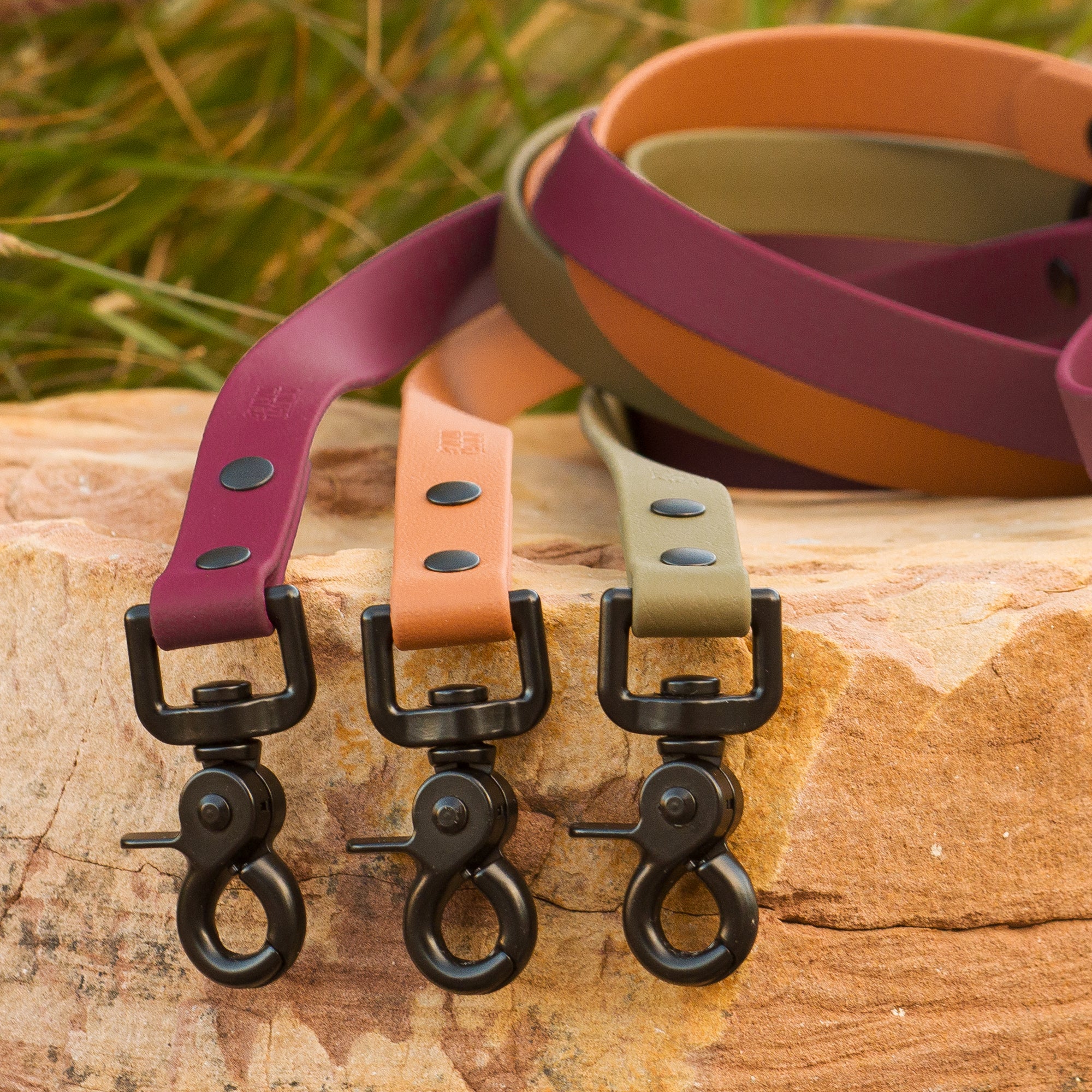 Canine leashes and collars hotsell