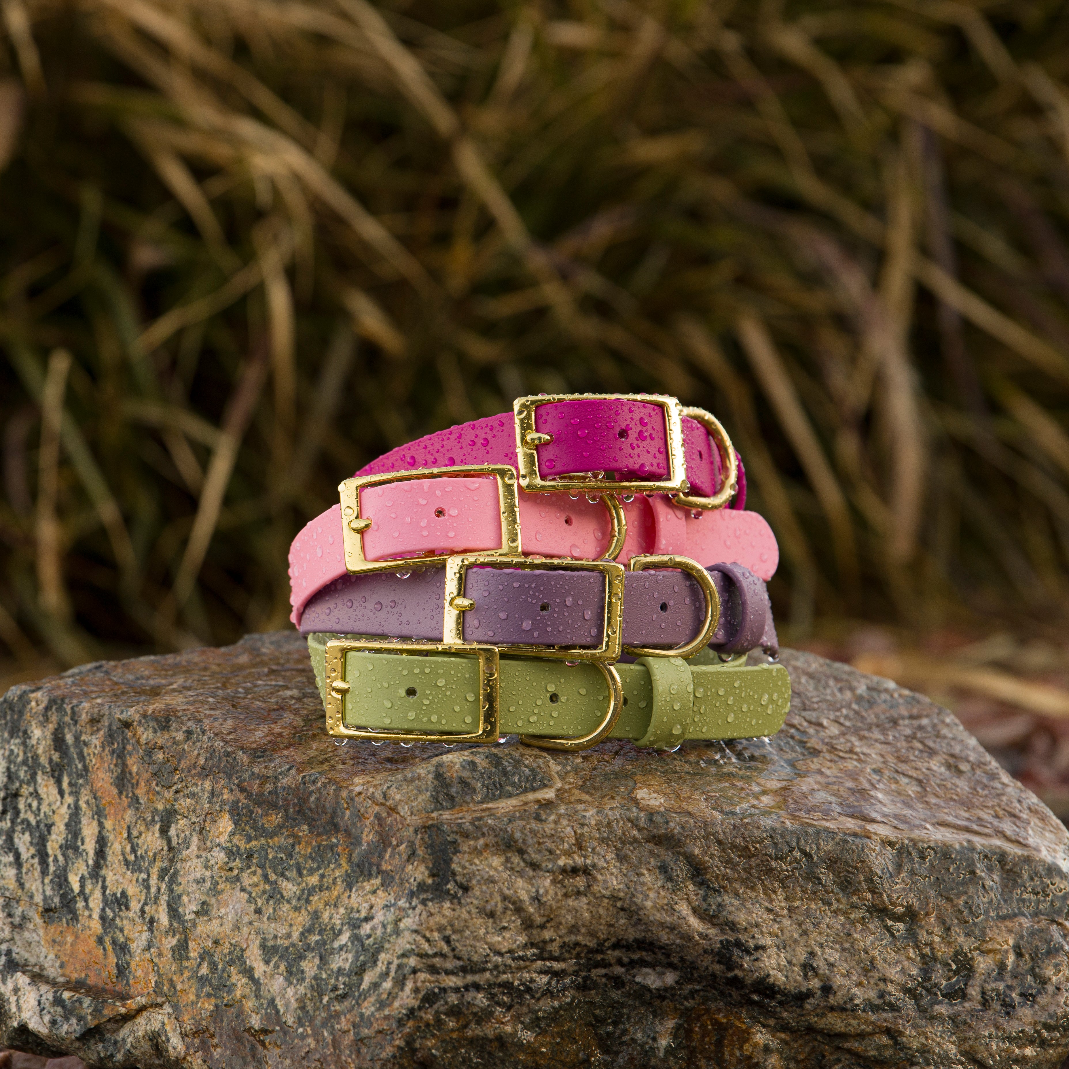 BioThane® Waterproof Dog Collars