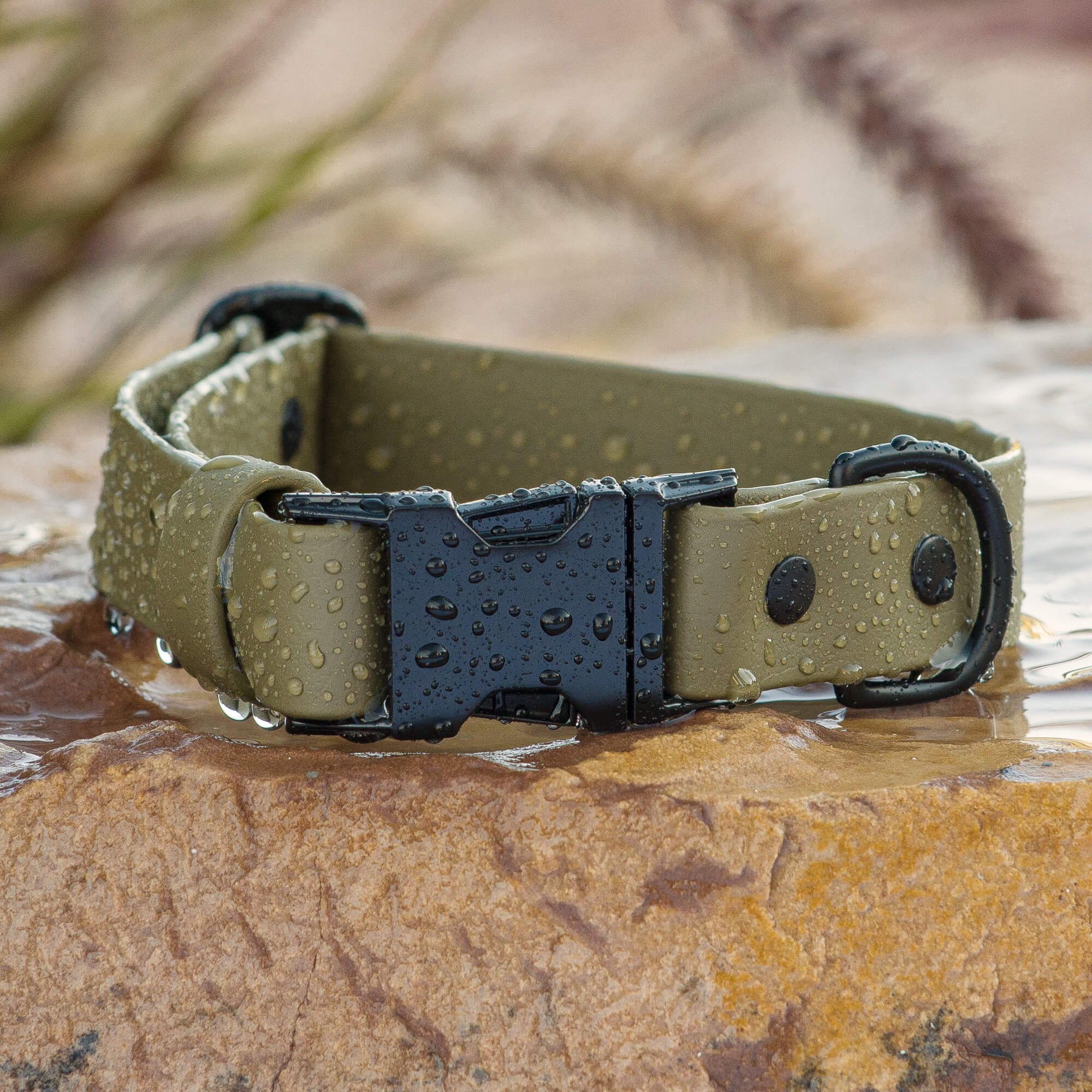 BioThane Olive colored collar with matte black buckle