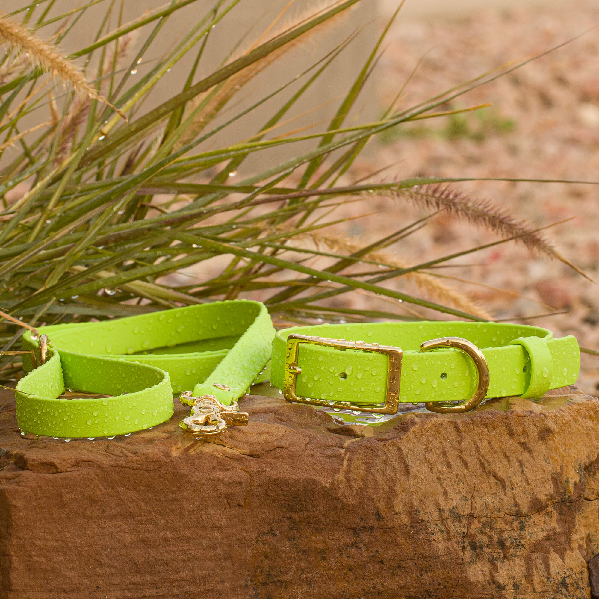 BioThane lime colored leash and collar walk set