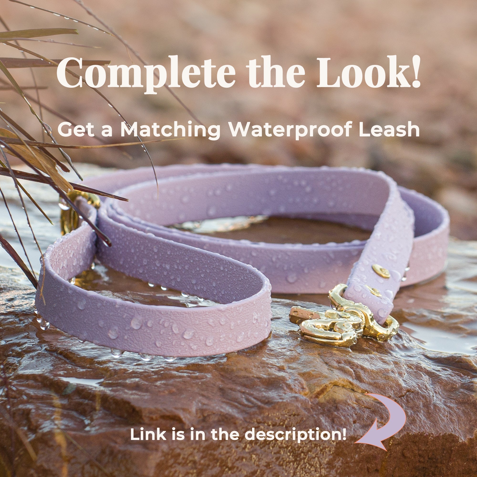 Vivid Canine BioThane® waterproof dog leash, lilac brass snap - matching buckle dog collar available