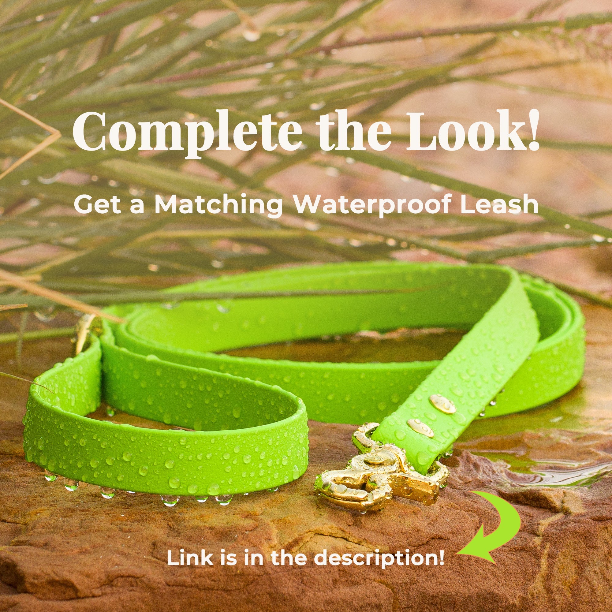 Vivid Canine BioThane® waterproof dog leash, lime brass snap - matching buckle dog collar available