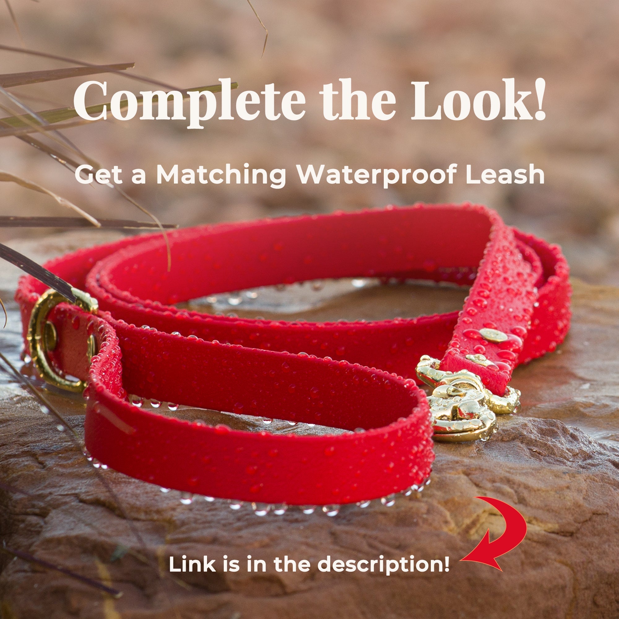 Vivid Canine BioThane® waterproof dog leash, red brass snap - matching buckle dog collar available