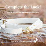 Vivid Canine BioThane® waterproof dog leash, white brass snap - matching buckle dog collar available