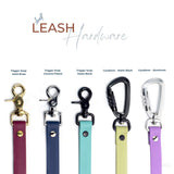 a collection of five different types of dog leashes, each with a unique color and design, arranged in a row.