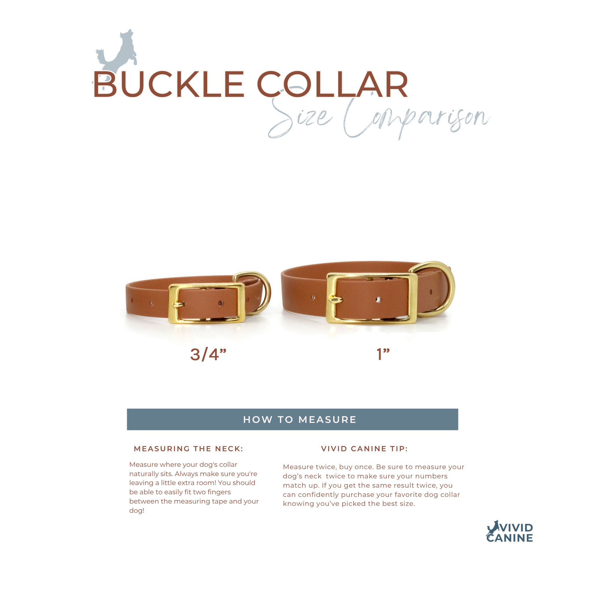 BioThane waterproof buckle collar size comparison - Vivid Canine