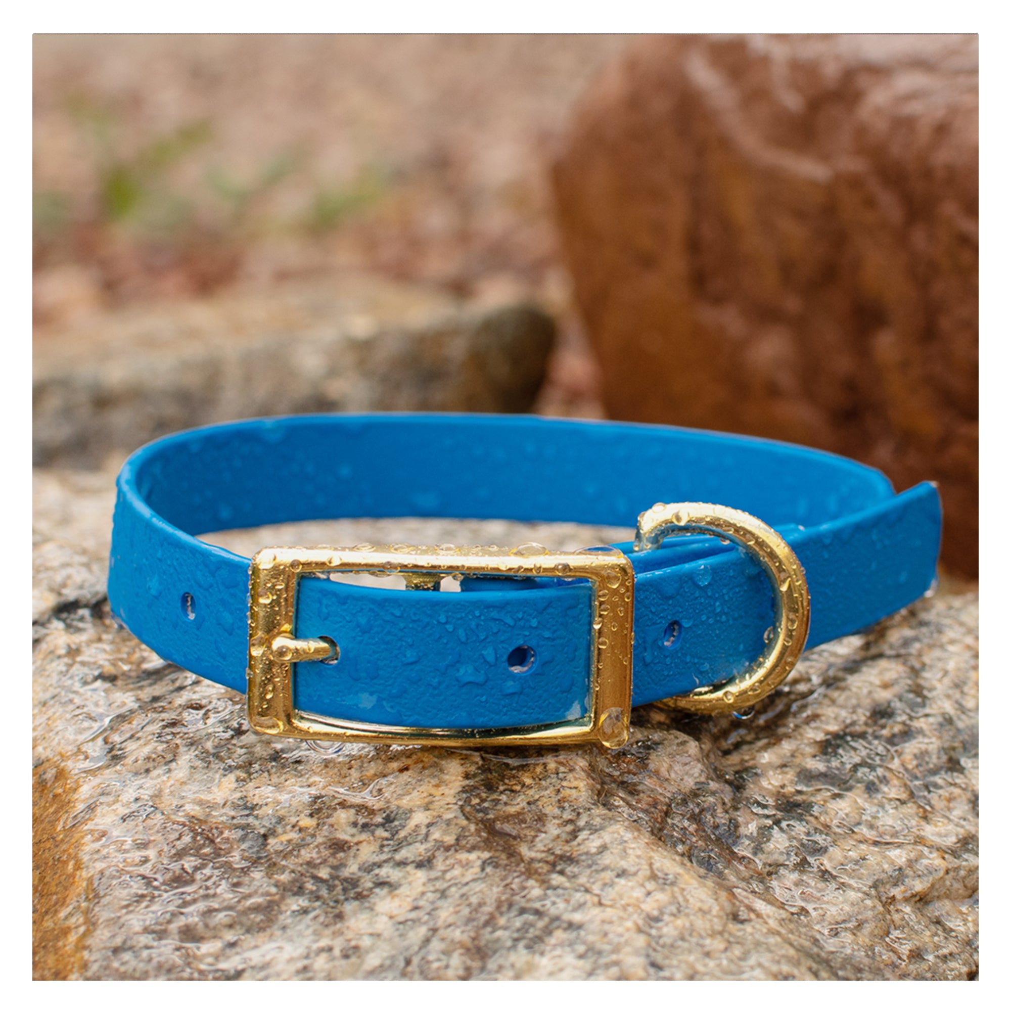 Vivid Canine BioThane® waterproof buckle dog collar azure - durable outdoor pet gear available in XS-XL sizes