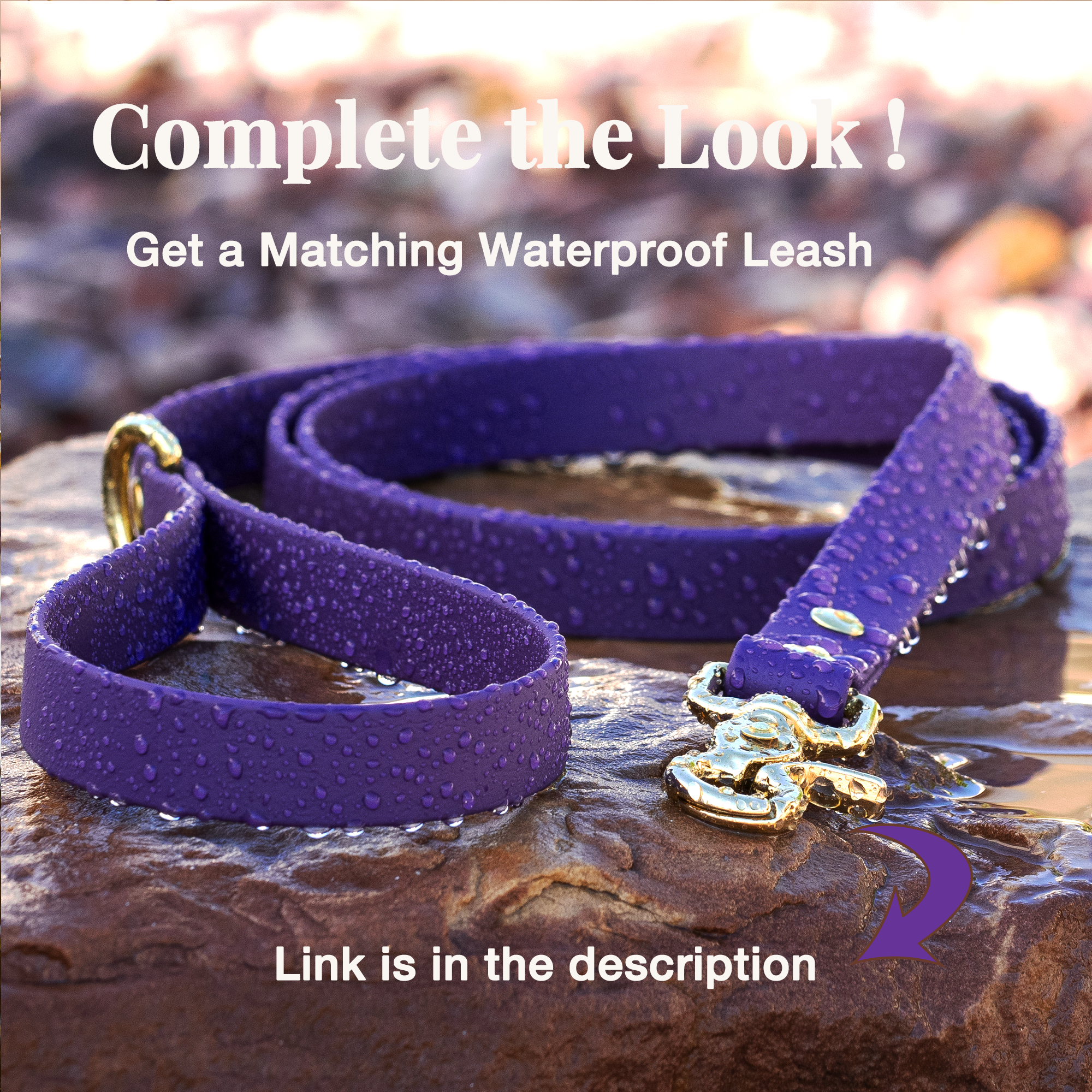Vivid Canine BioThane® waterproof dog leash, purple brass snap - matching buckle dog collar available