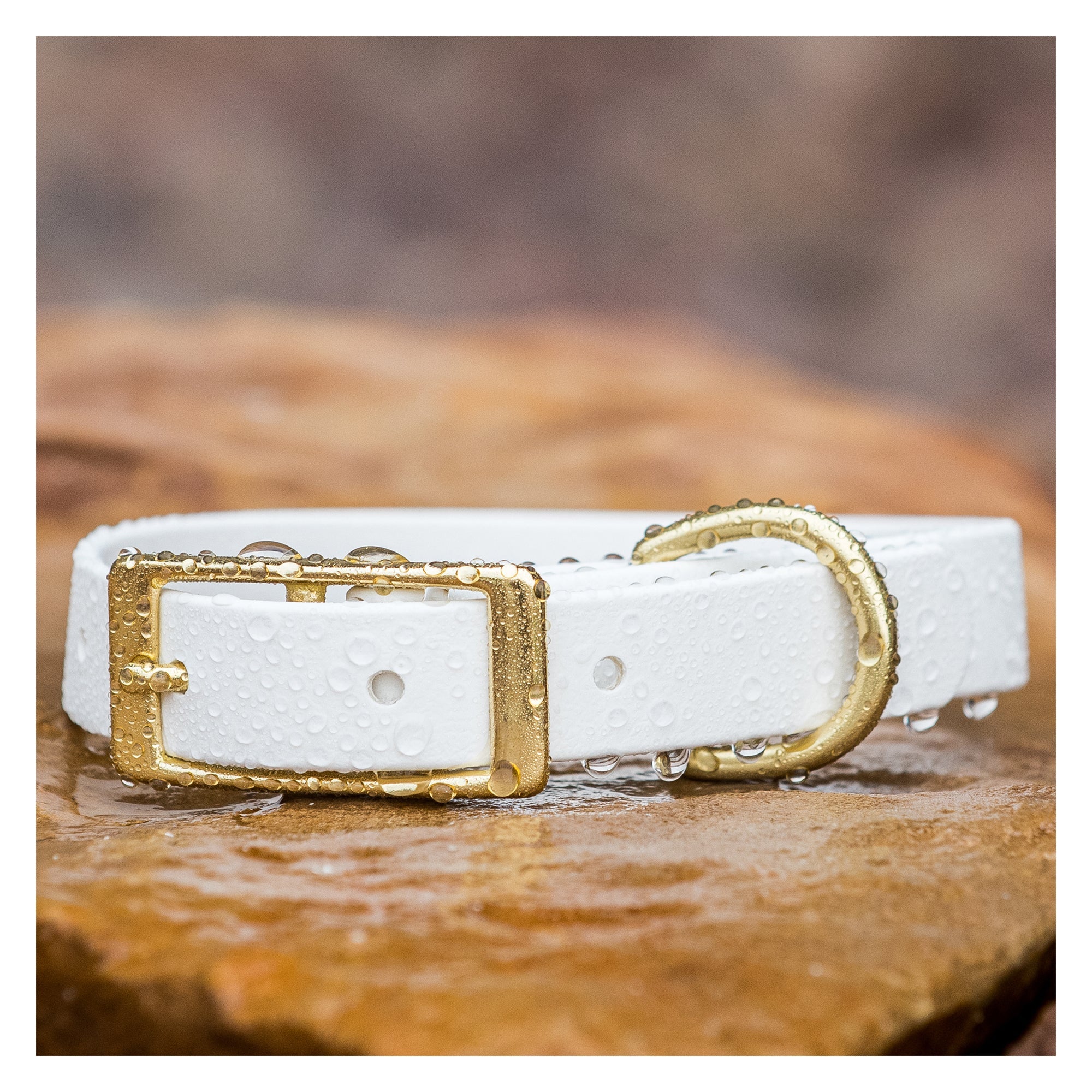 Waterproof Buckle Dog Collar White BioThane Vivid Canine