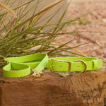 BioThane waterproof dog collar and leash combo in lime