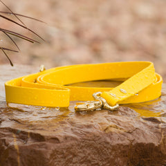 A yellow BioThane waterproof dog leash lying on a wet rock surface with water droplets on it, indicating its durability and waterproof nature by Vivid Canine.