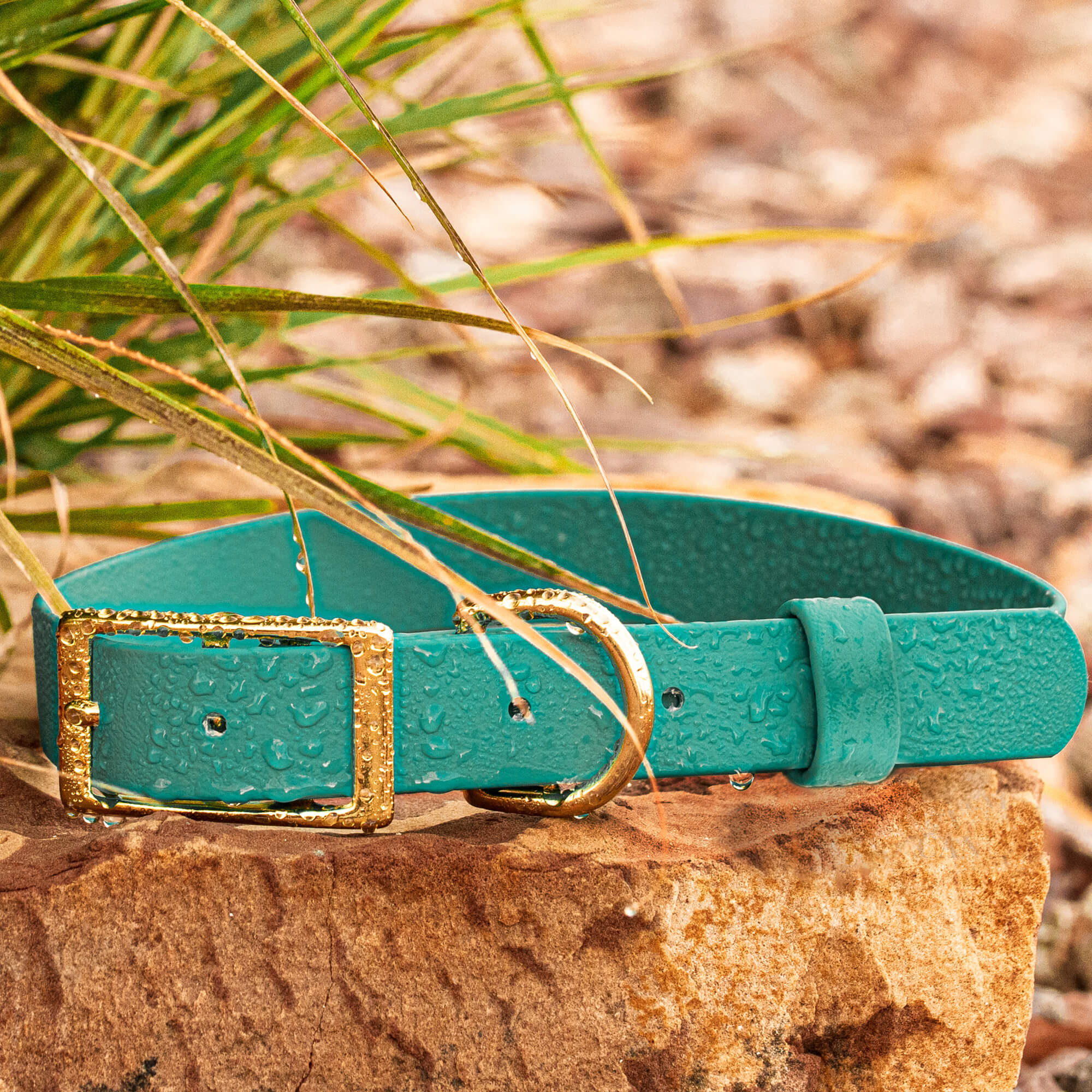 Vivid Canine BioThane® waterproof buckle dog collar teal - durable outdoor pet gear available in XS-XL sizes