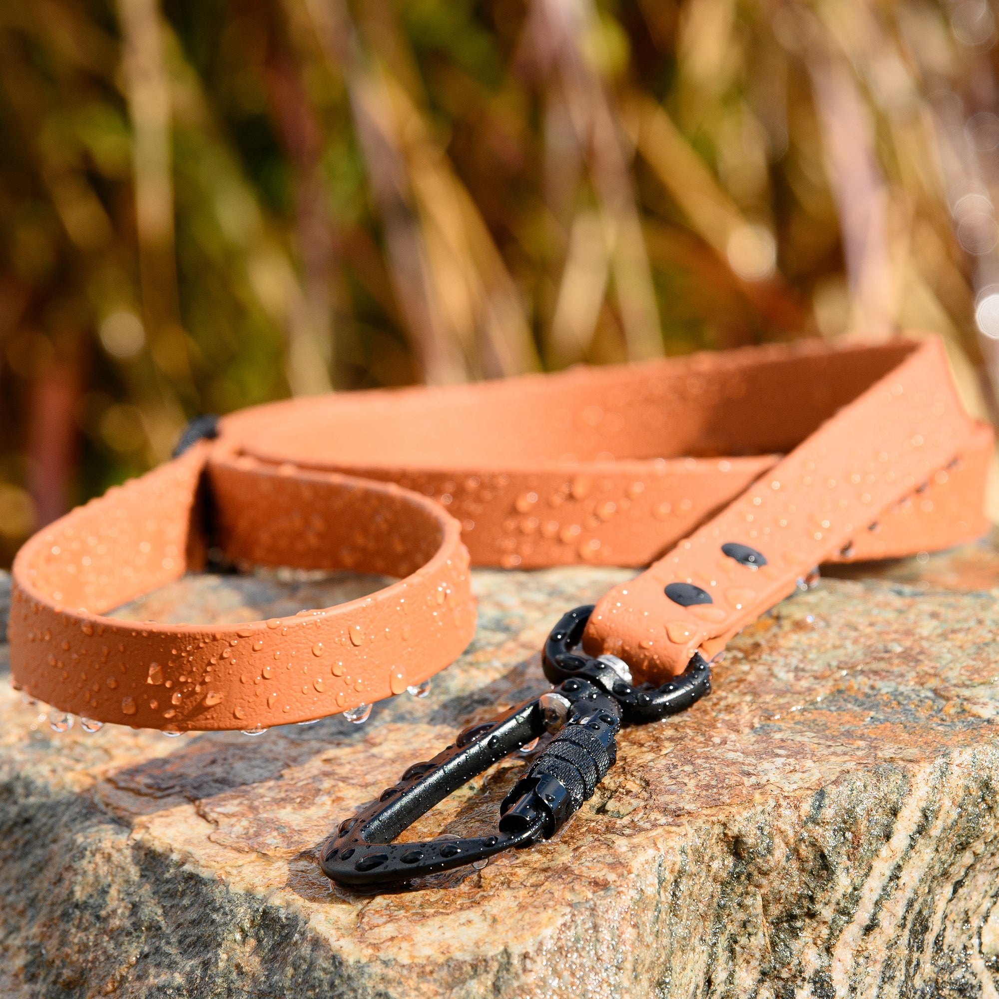 BioThane® Waterproof Traffic Leash