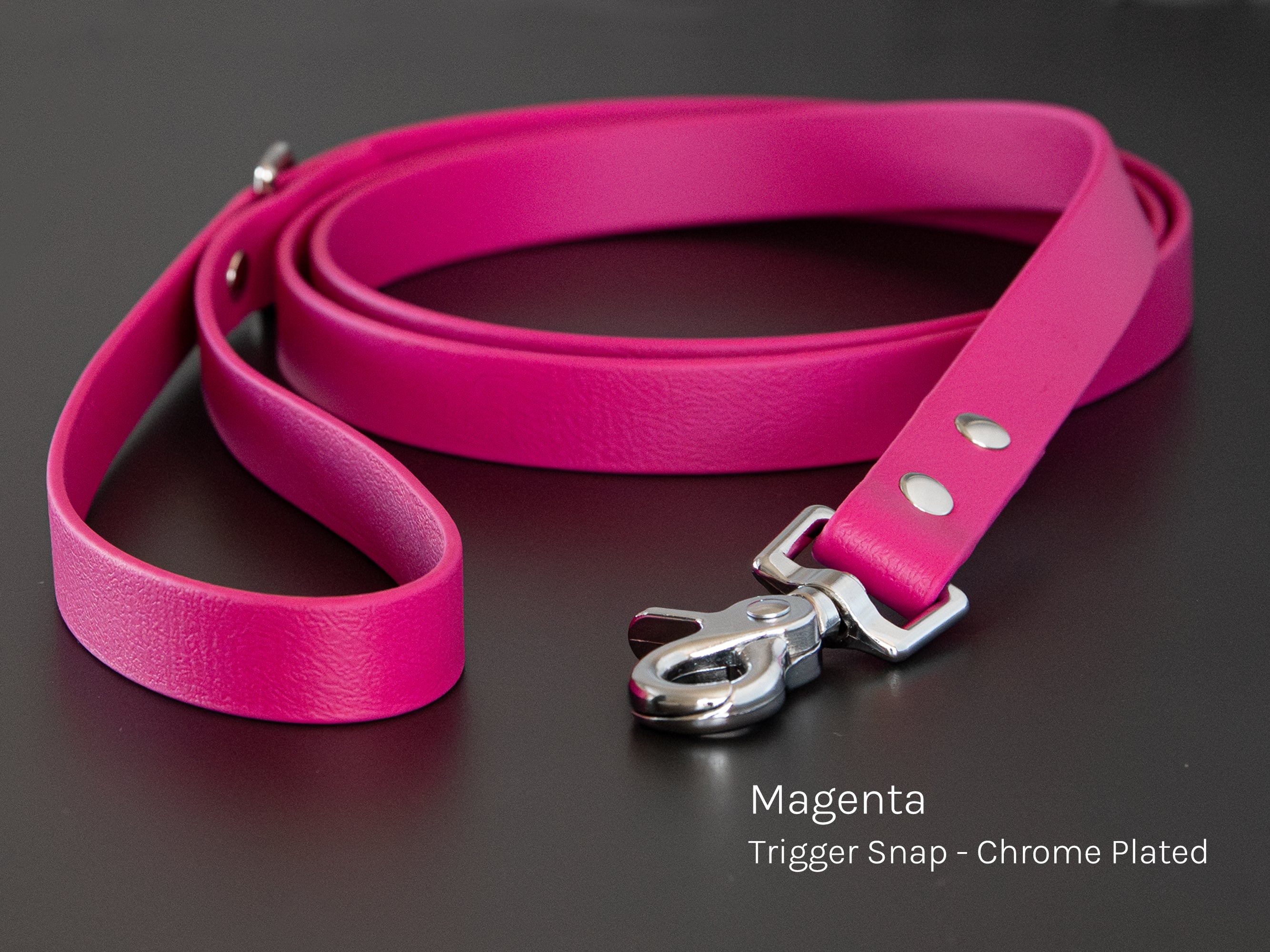 Waterproof BioThane dog leash in magenta - durable outdoor gear
