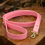 BioThane® Waterproof Dog Leash - Pastel Pink