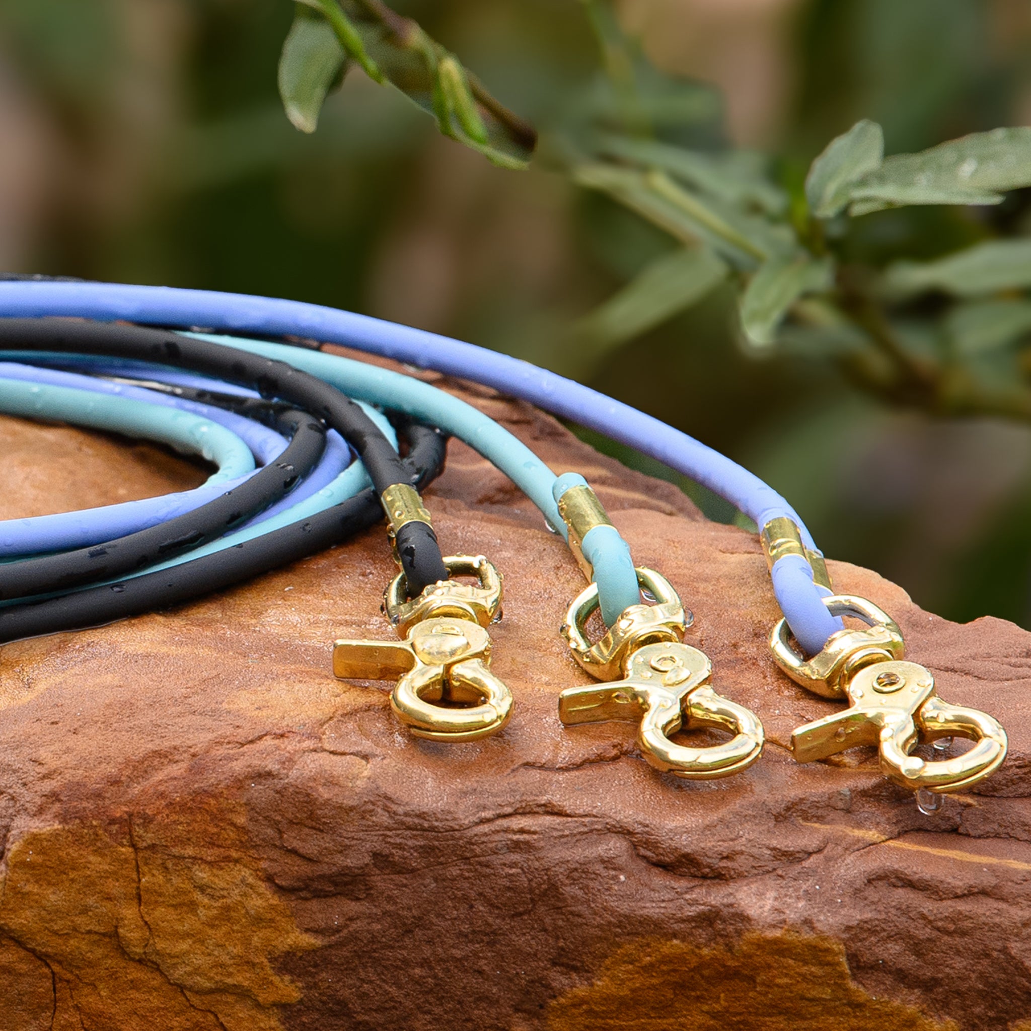 Close-up of brass trigger snap hardware on waterproof BioThane rolled dog leash - durable metal clasp