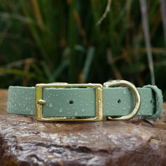 Vivid Canine BioThane® waterproof buckle dog collar sage green - durable outdoor pet gear available in XS-XL sizes