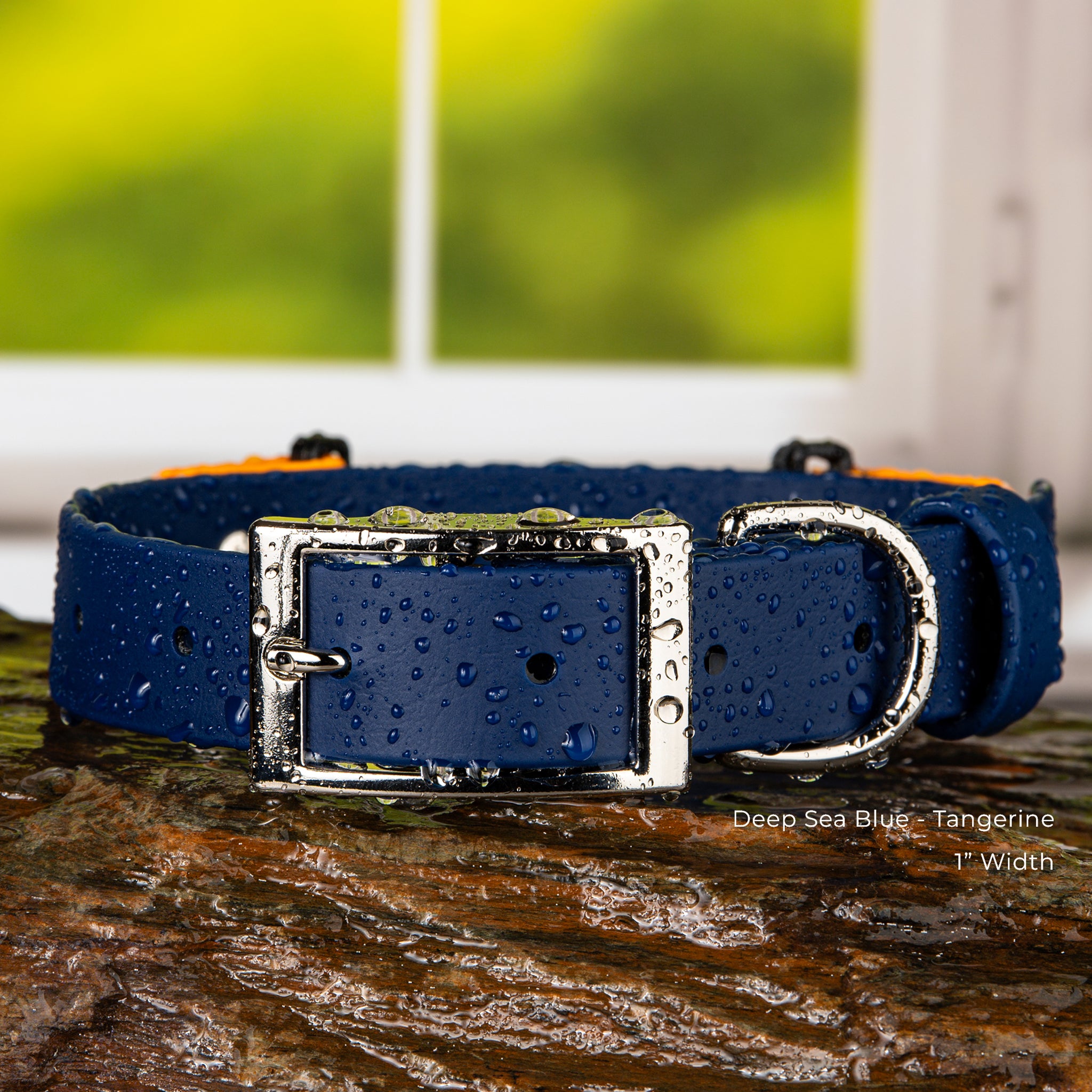 Fi Series 3 compatible BioThane waterproof buckle collar displayed indoors showing product details