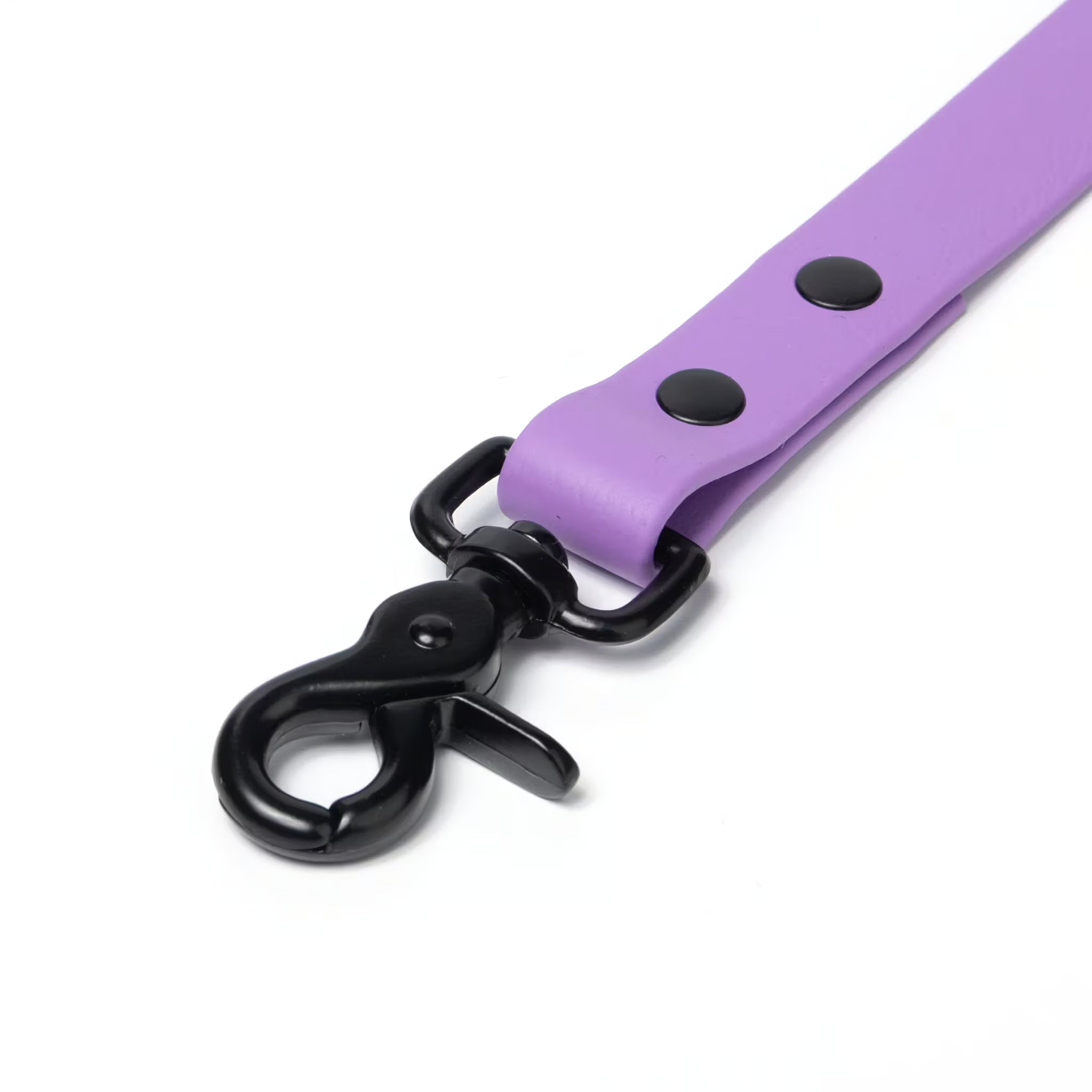 BioThane® Waterproof Dog Leash - Amethyst