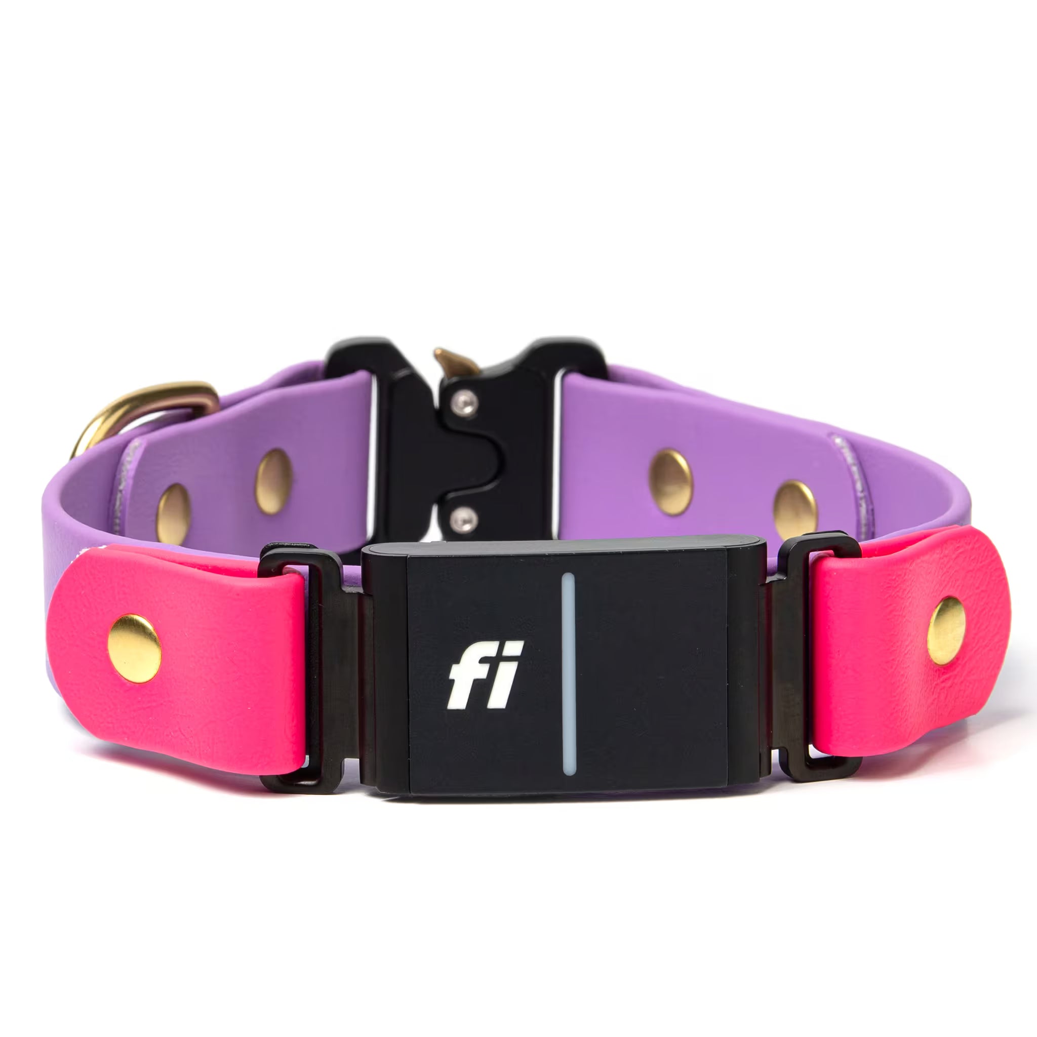 Fi Series 3 compatible BioThane waterproof dog collar with quick release buckle in passion fruit and amethyst