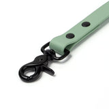 BioThane® Waterproof Dog Leash - Sage Green