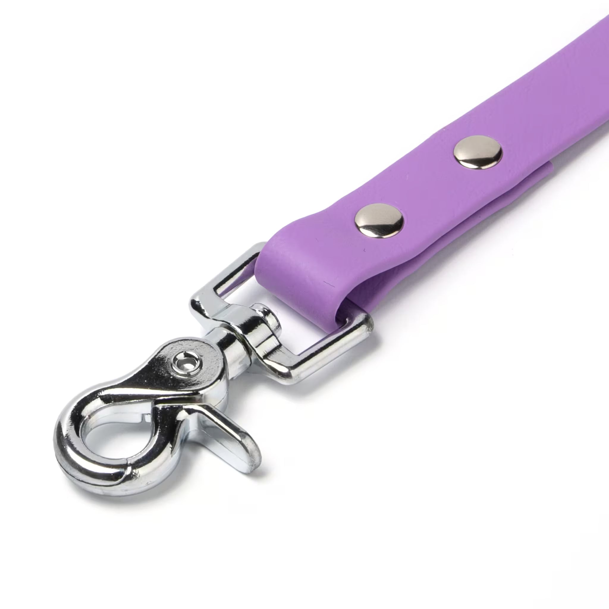 BioThane® Waterproof Dog Leash - Amethyst