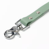 BioThane® Waterproof Dog Leash - Sage Green
