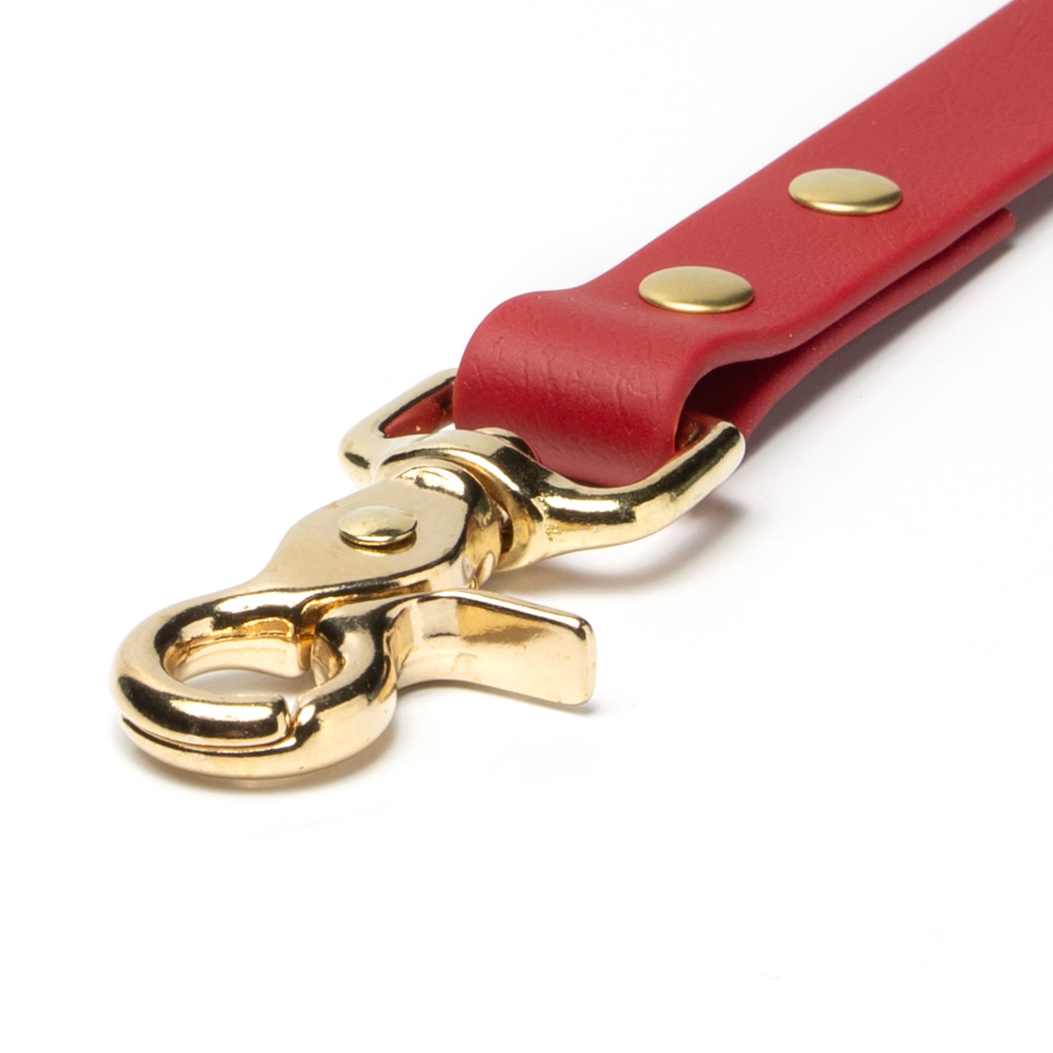 brass trigger snap close up