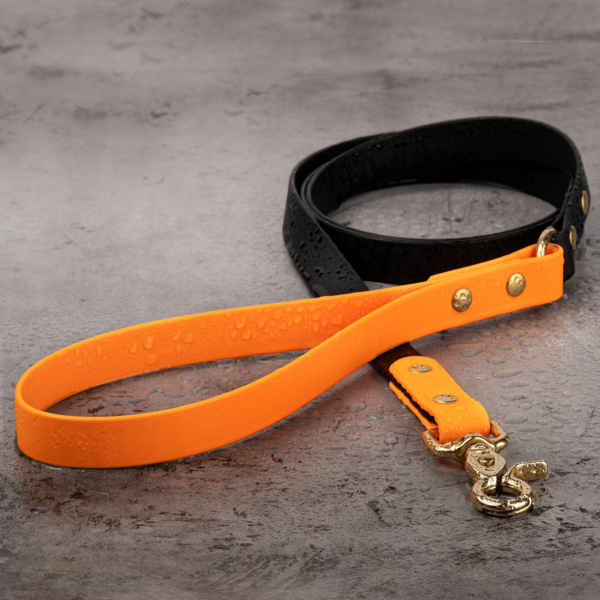Premium BioThane® Leashes