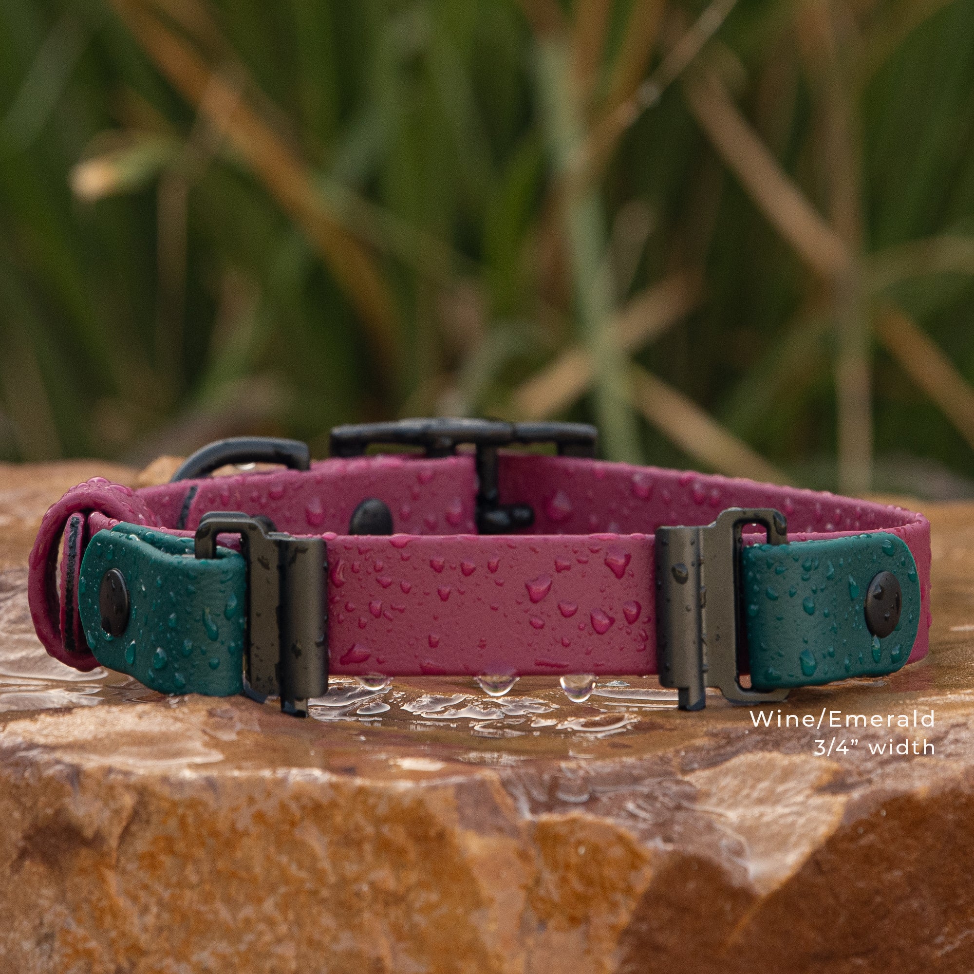 Premium BioThane waterproof buckle collar for Fi Series 3 GPS tracker in wine and emerald colors