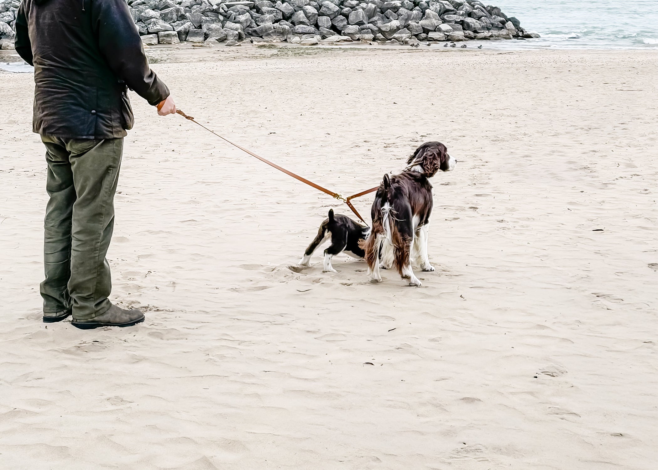 Why 9800+ Customers Love BioThane