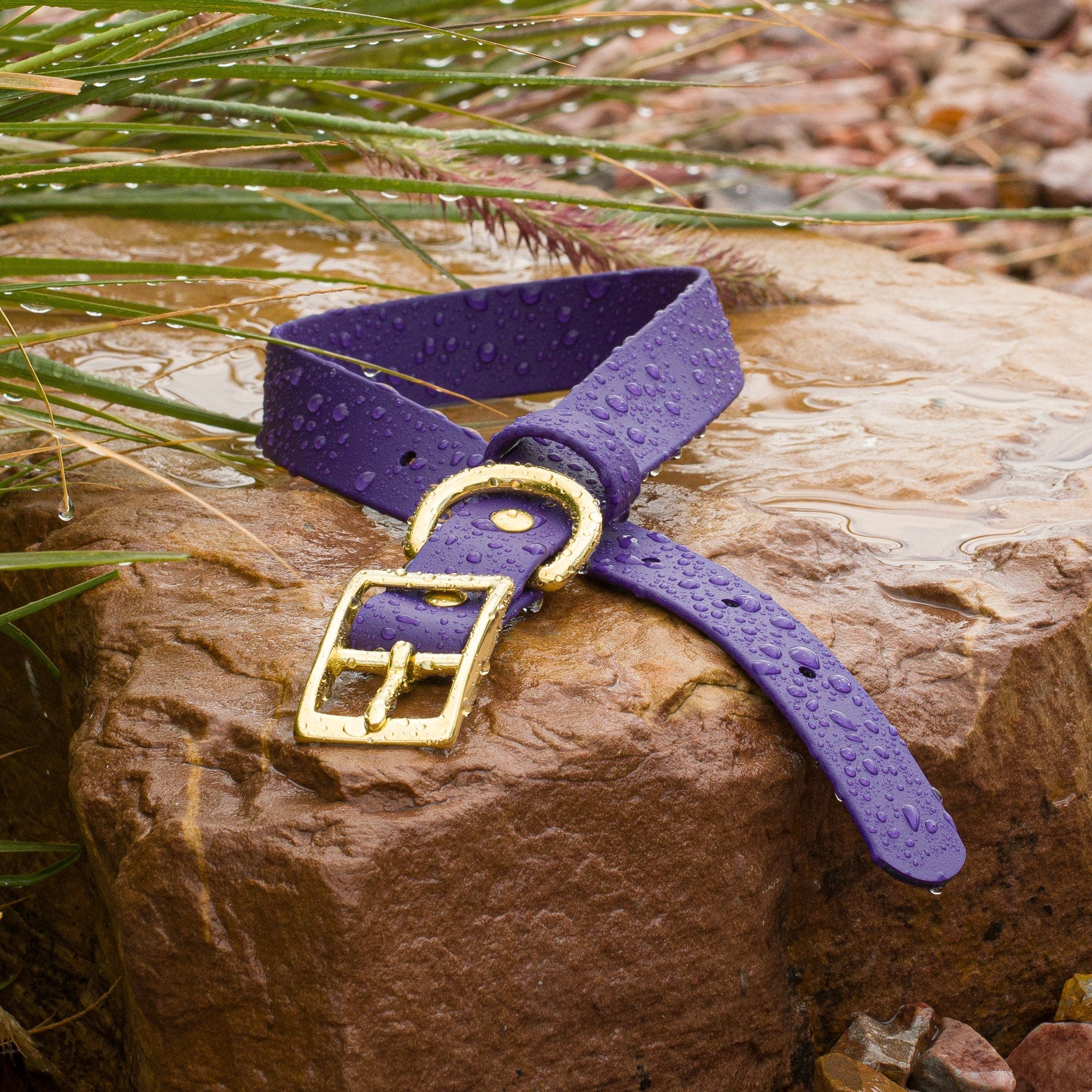 Vivid Canine BioThane® Purple buckle dog collar hardware close-up