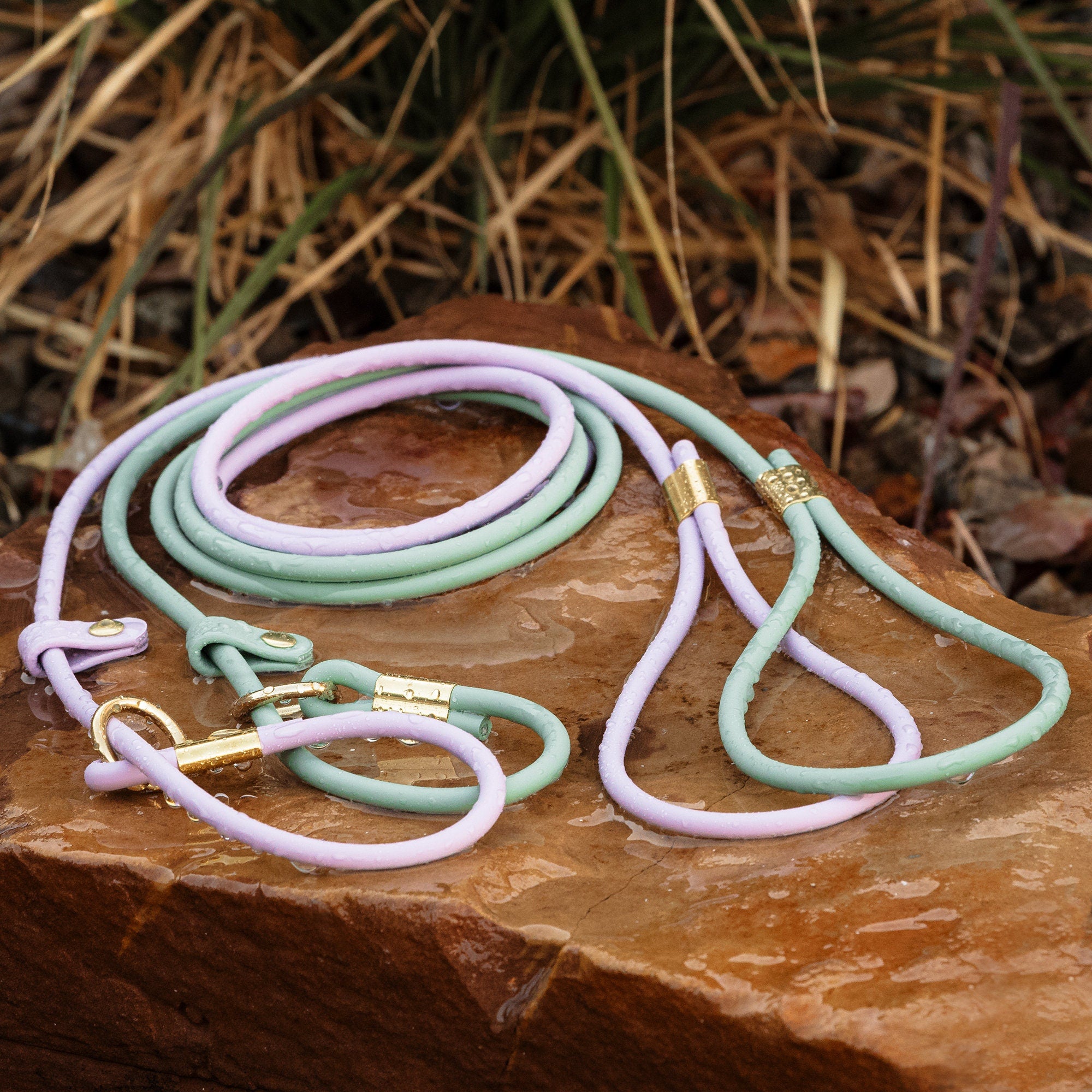 Two Waterproof BioThane rolled slip leads with brass hardware pictured on a rock outdoors