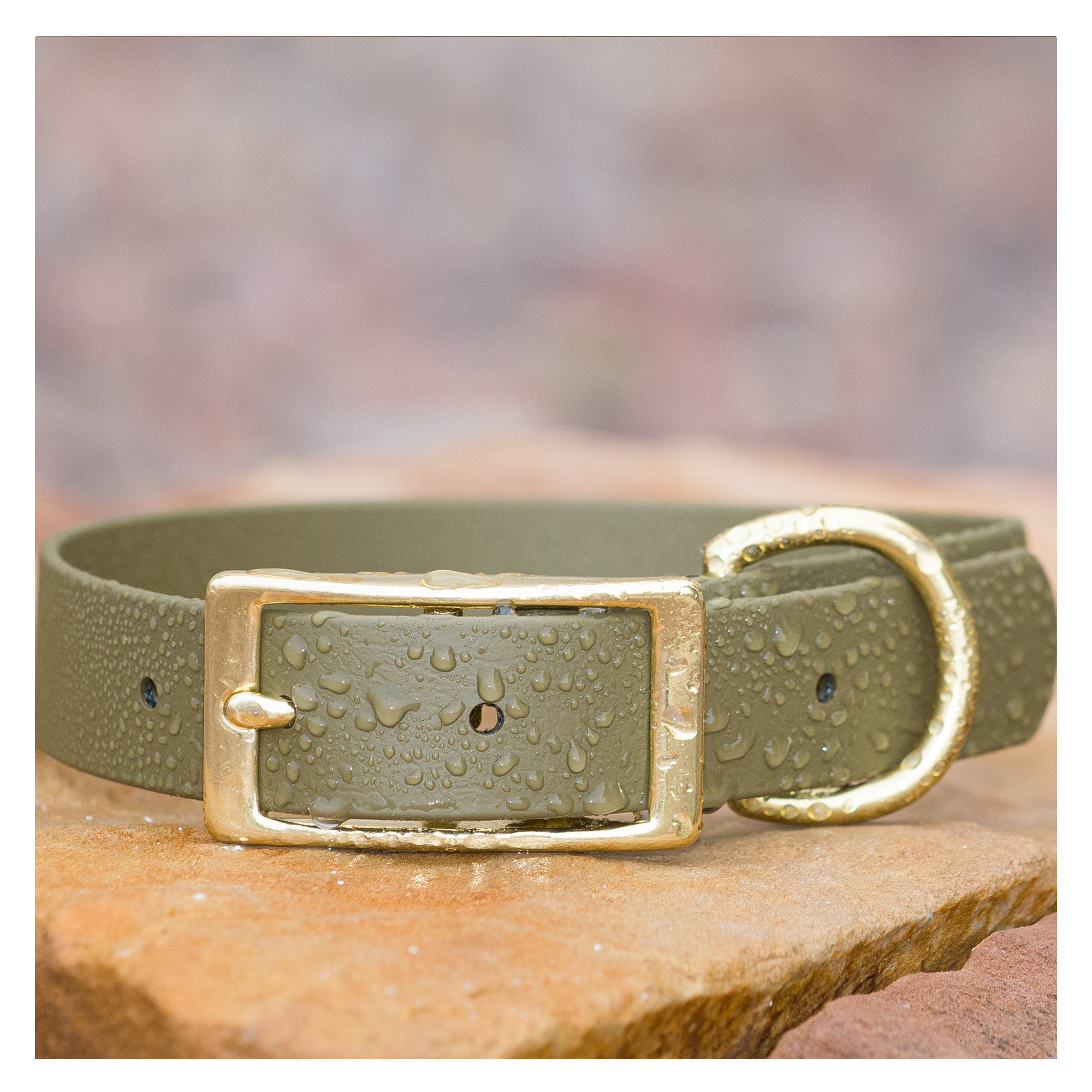 Vivid Canine BioThane® waterproof buckle dog collar olive - durable outdoor pet gear available in XS-XL sizes