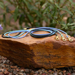 Waterproof BioThane rolled dog leashes with brass hardware - odor-proof and easy clean pet gear