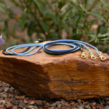 Waterproof BioThane rolled dog leashes with brass hardware - odor-proof and easy clean pet gear