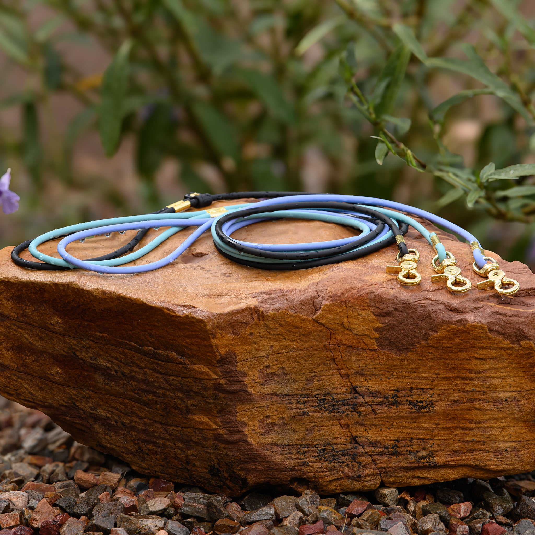 Waterproof BioThane rolled dog leashes with brass hardware - odor-proof and easy clean pet gear