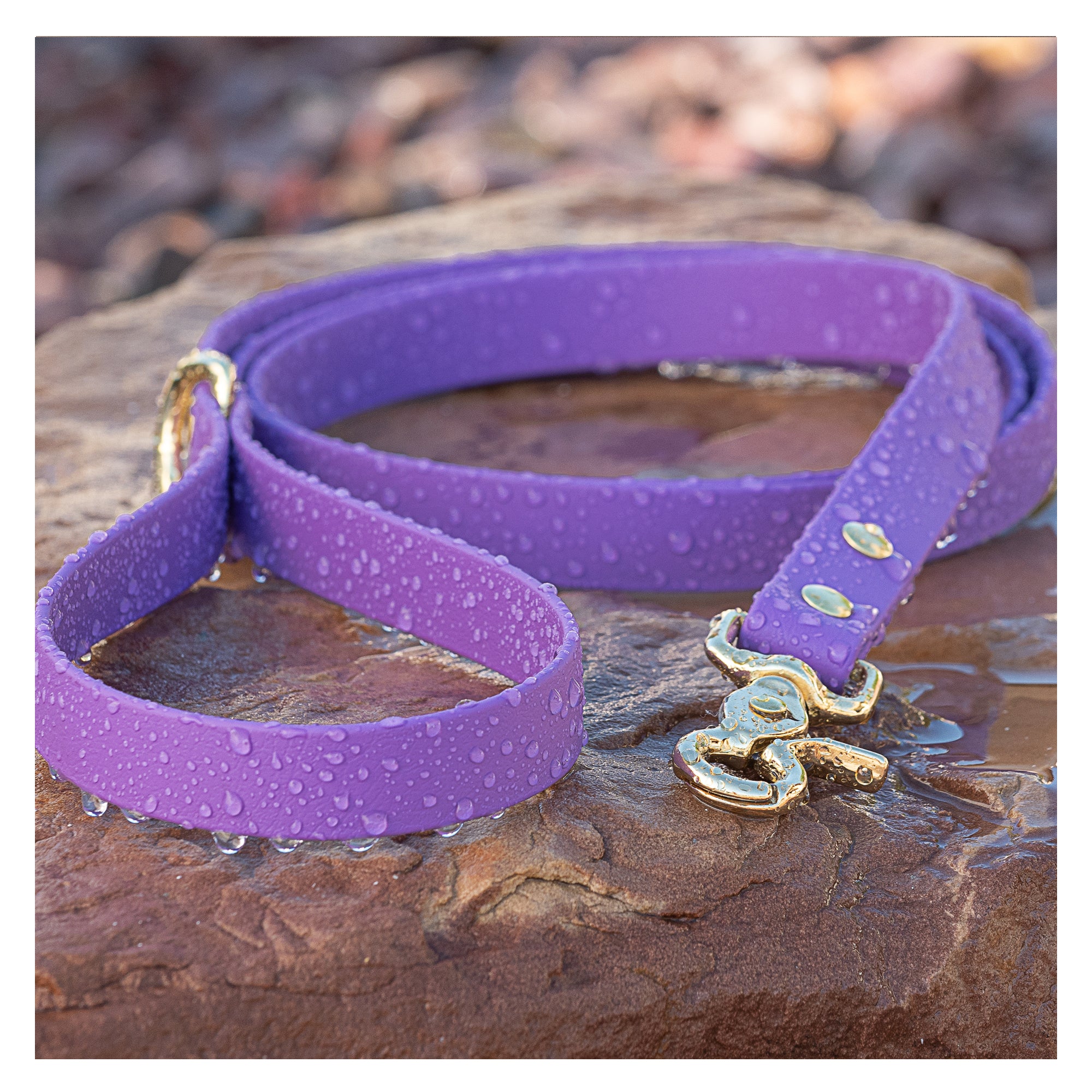 Amethyst BioThane waterproof dog leash with metal snap by Vivid Canine
