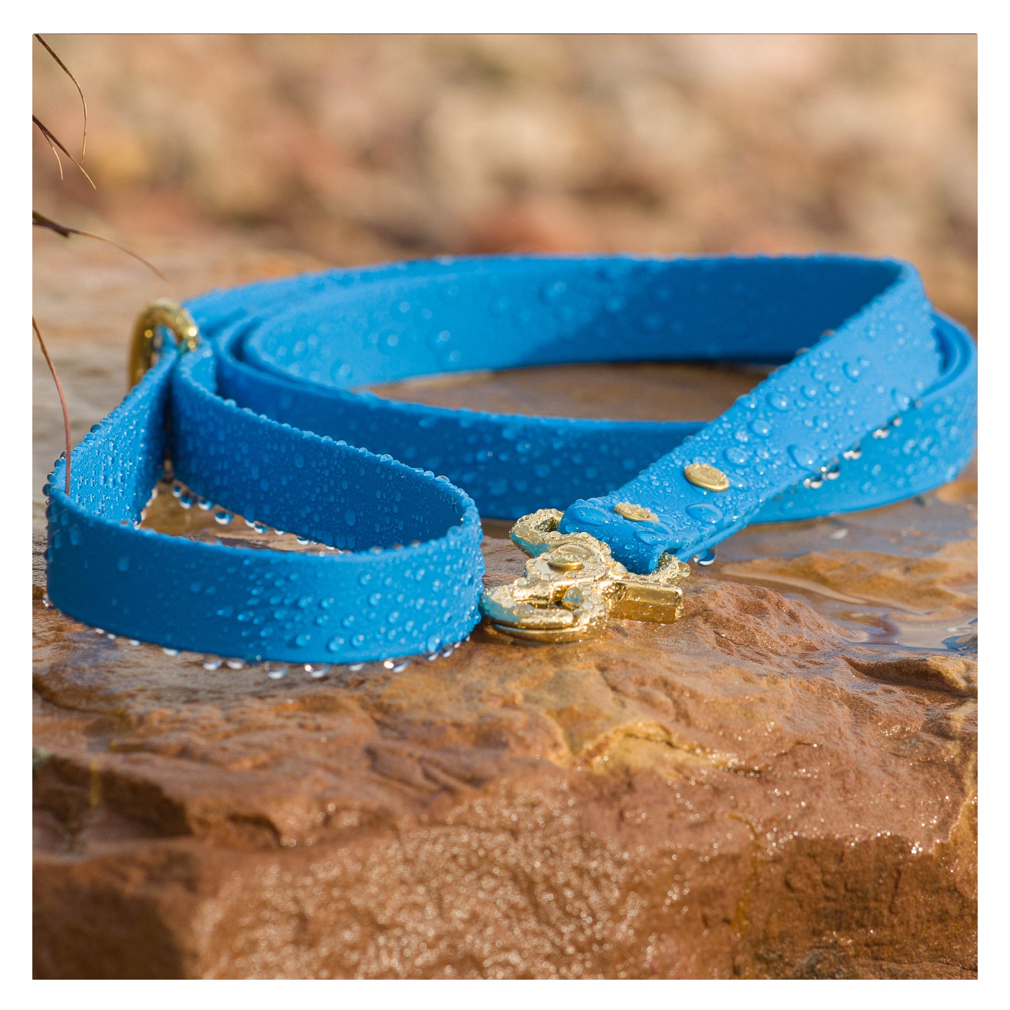 Azure BioThane waterproof dog leash with metal snap by Vivid Canine