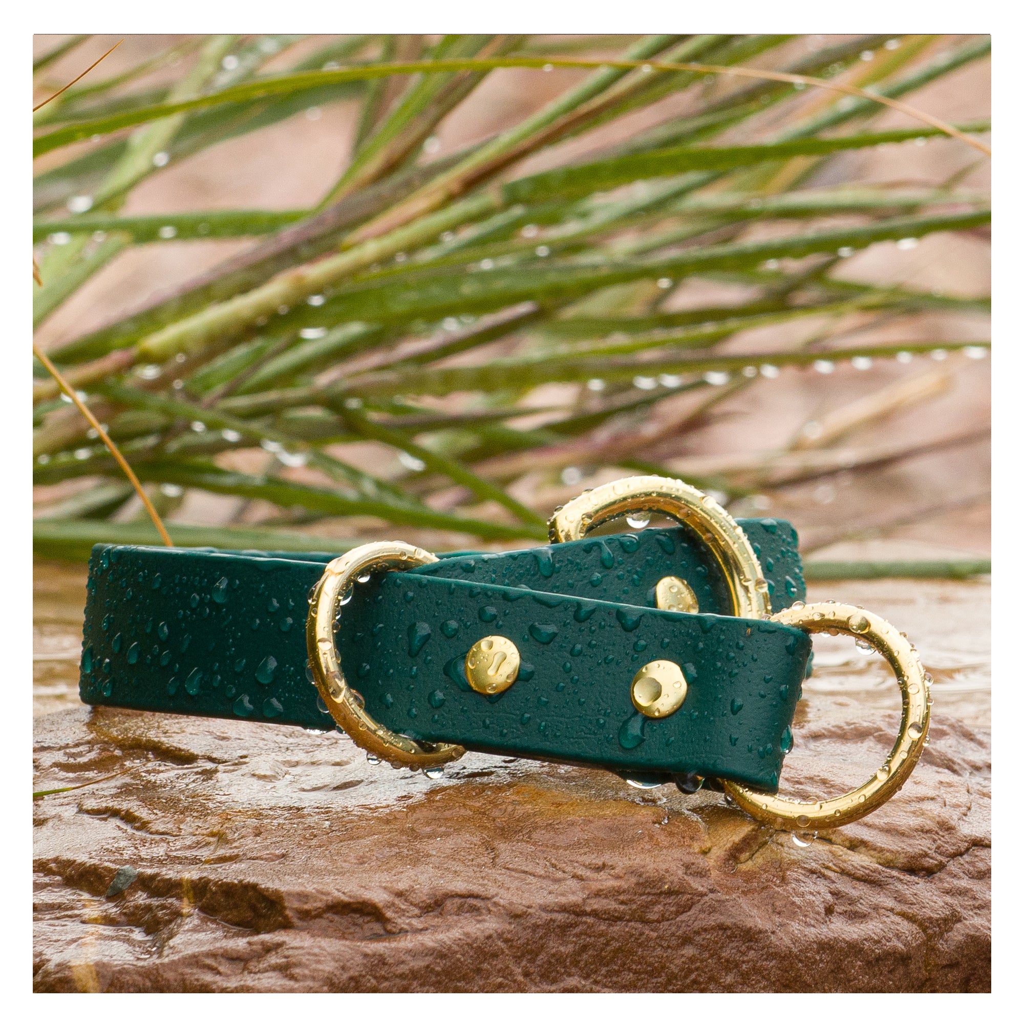 BioThane Waterproof Slip Collar Emerald Vivid Canine