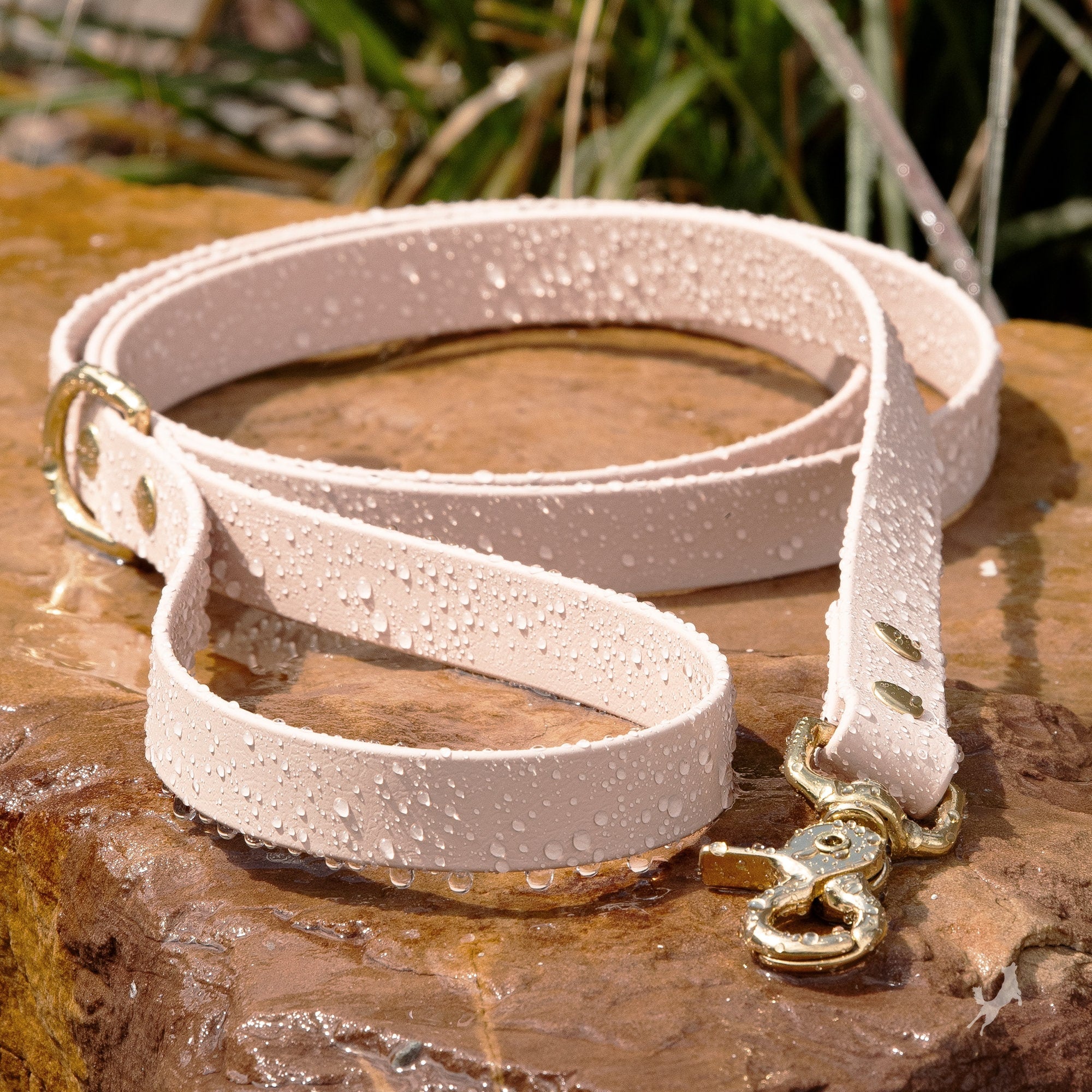 BioThane Waterproof Dog Leash Powder Tan