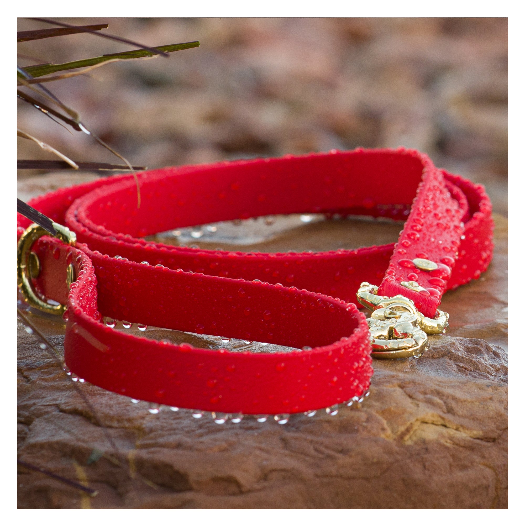 A red BioThane waterproof dog leash lying on a wet rock surface, with water droplets visible on its surface by Vivid Canine.