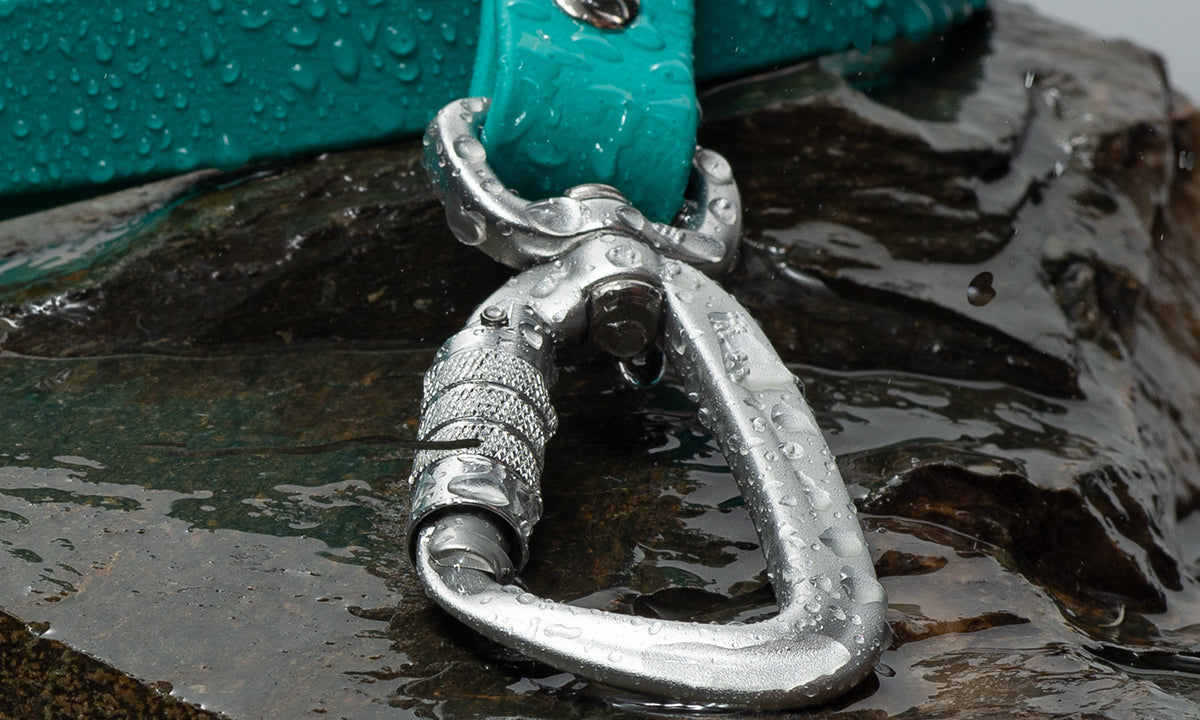 Choosing the Right Dog Gear Hardware