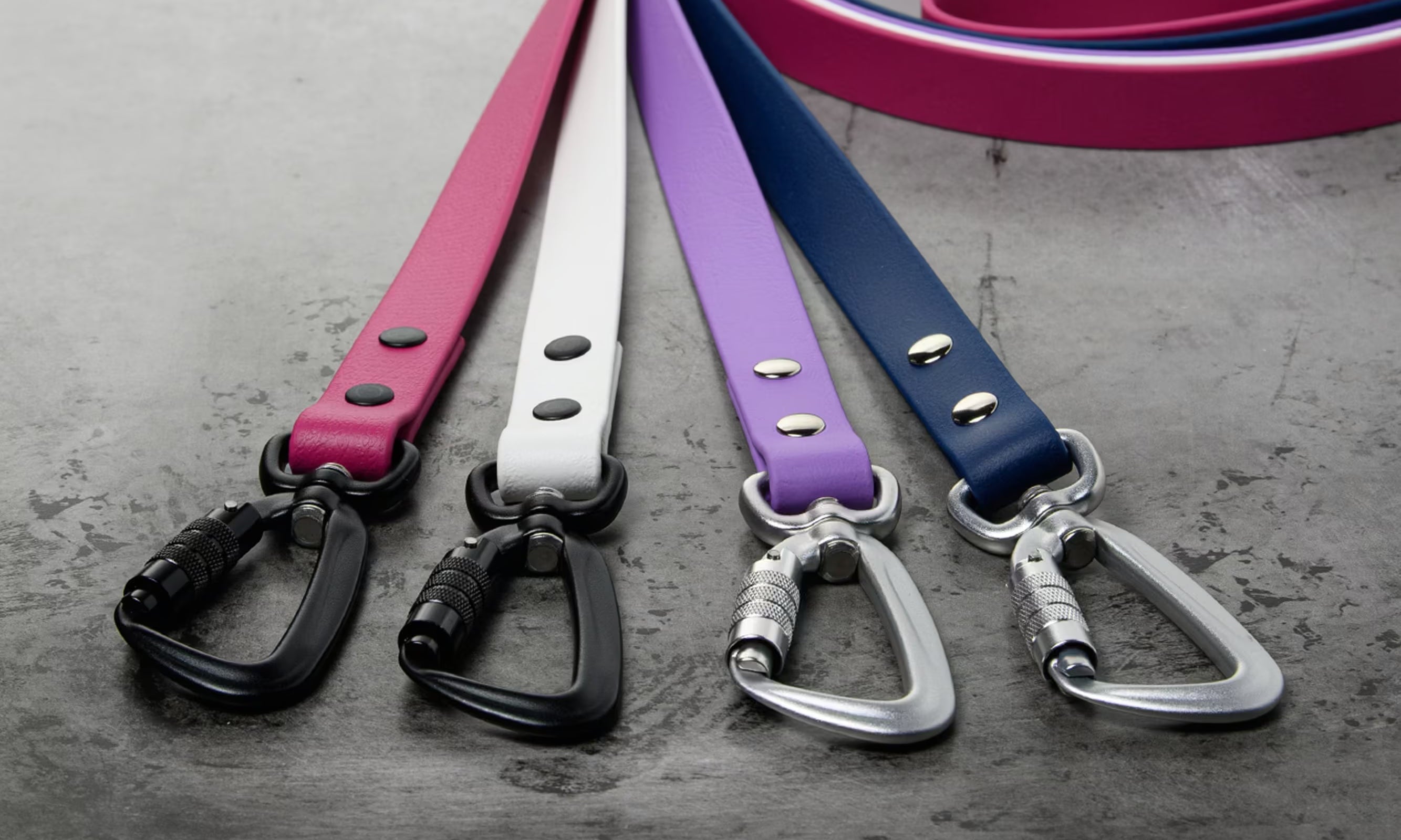 Best Waterproof Dog Gear: Complete Guide to BioThane Gear