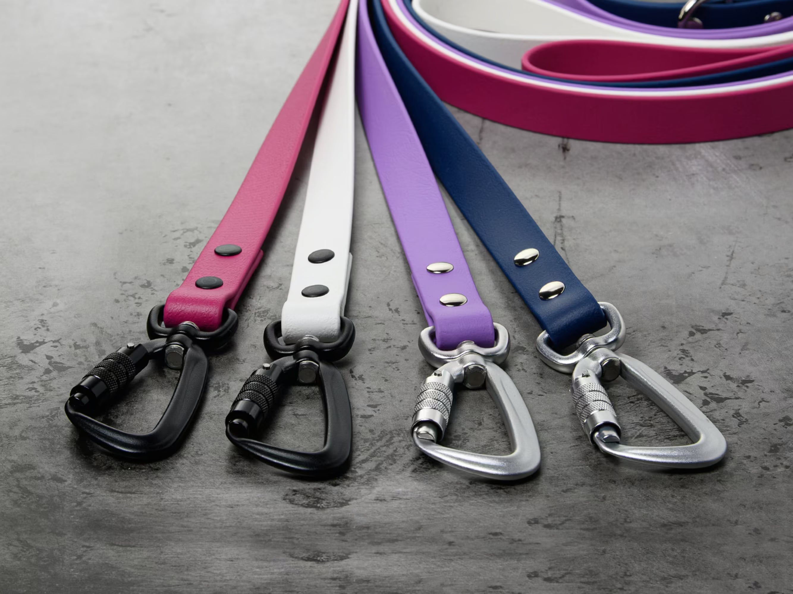 Best Waterproof Dog Gear: Complete Guide to BioThane Gear