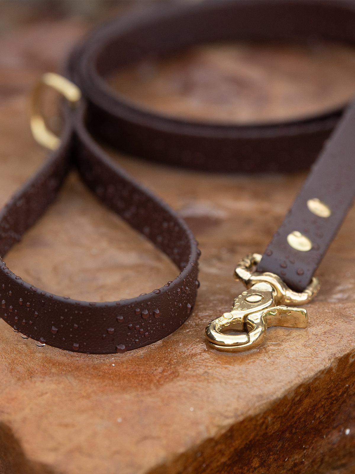 How to Spot a Genuine BioThane® Dog Product