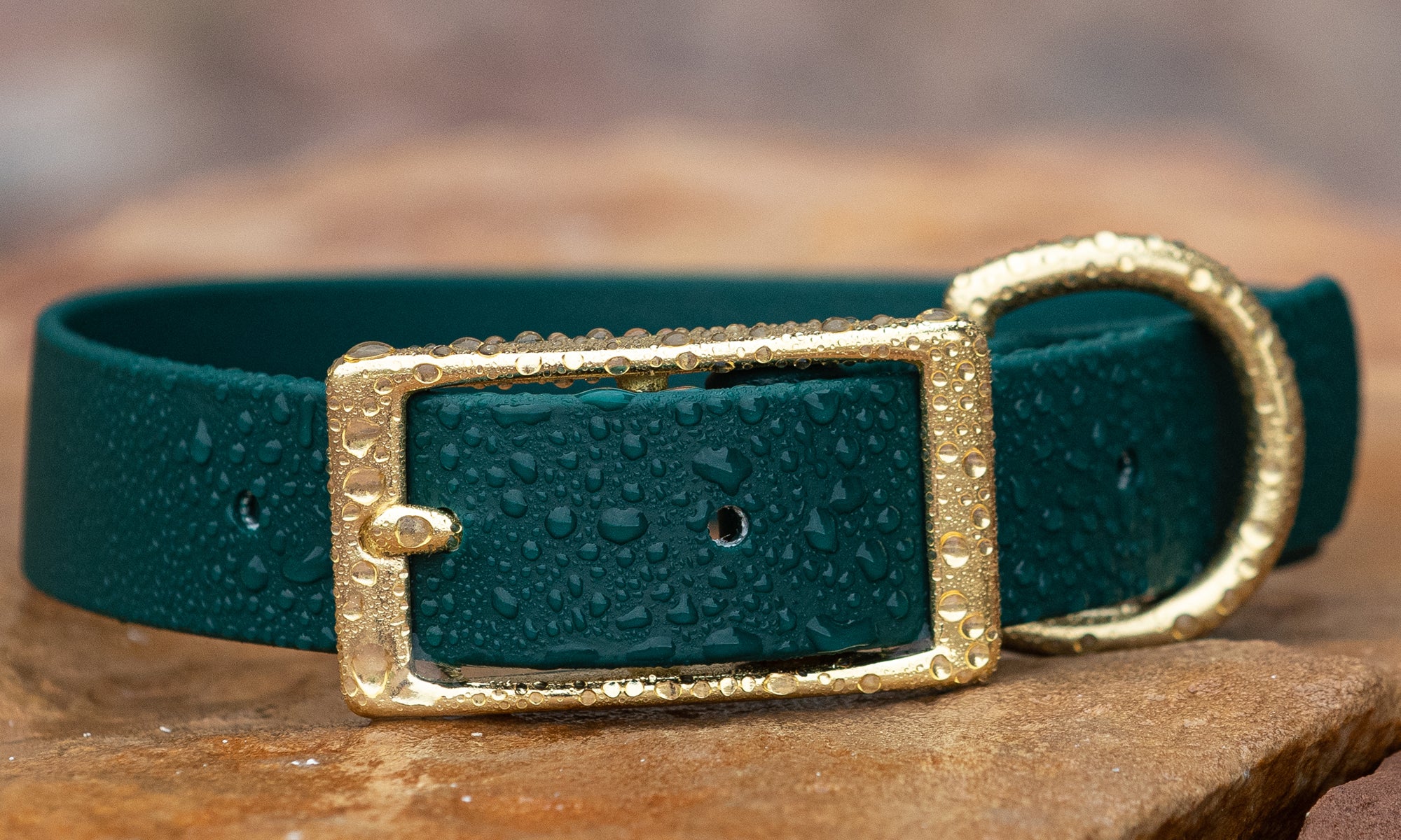 The Benefits of a BioThane® Waterproof Dog Collar