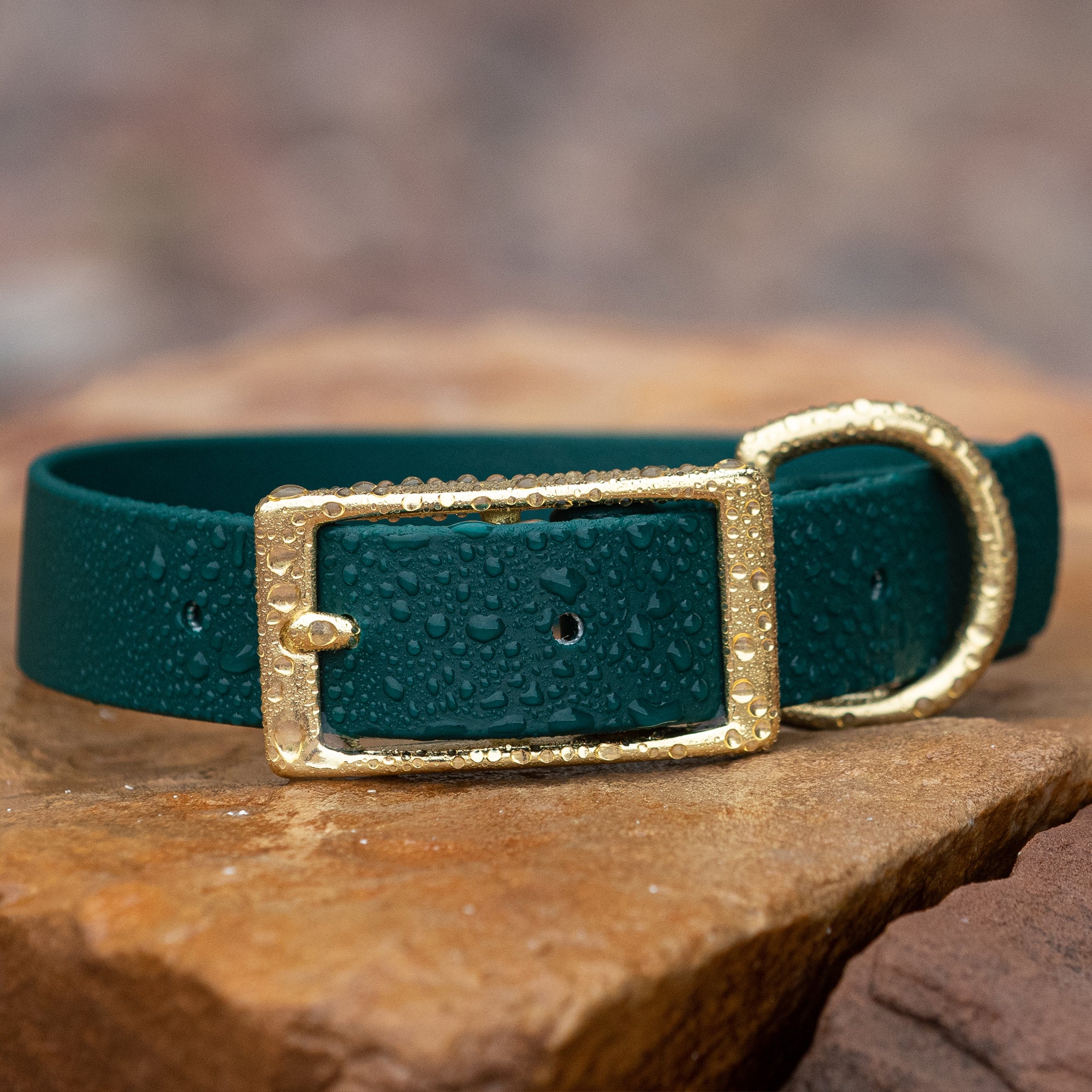 The Benefits of a BioThane® Waterproof Dog Collar