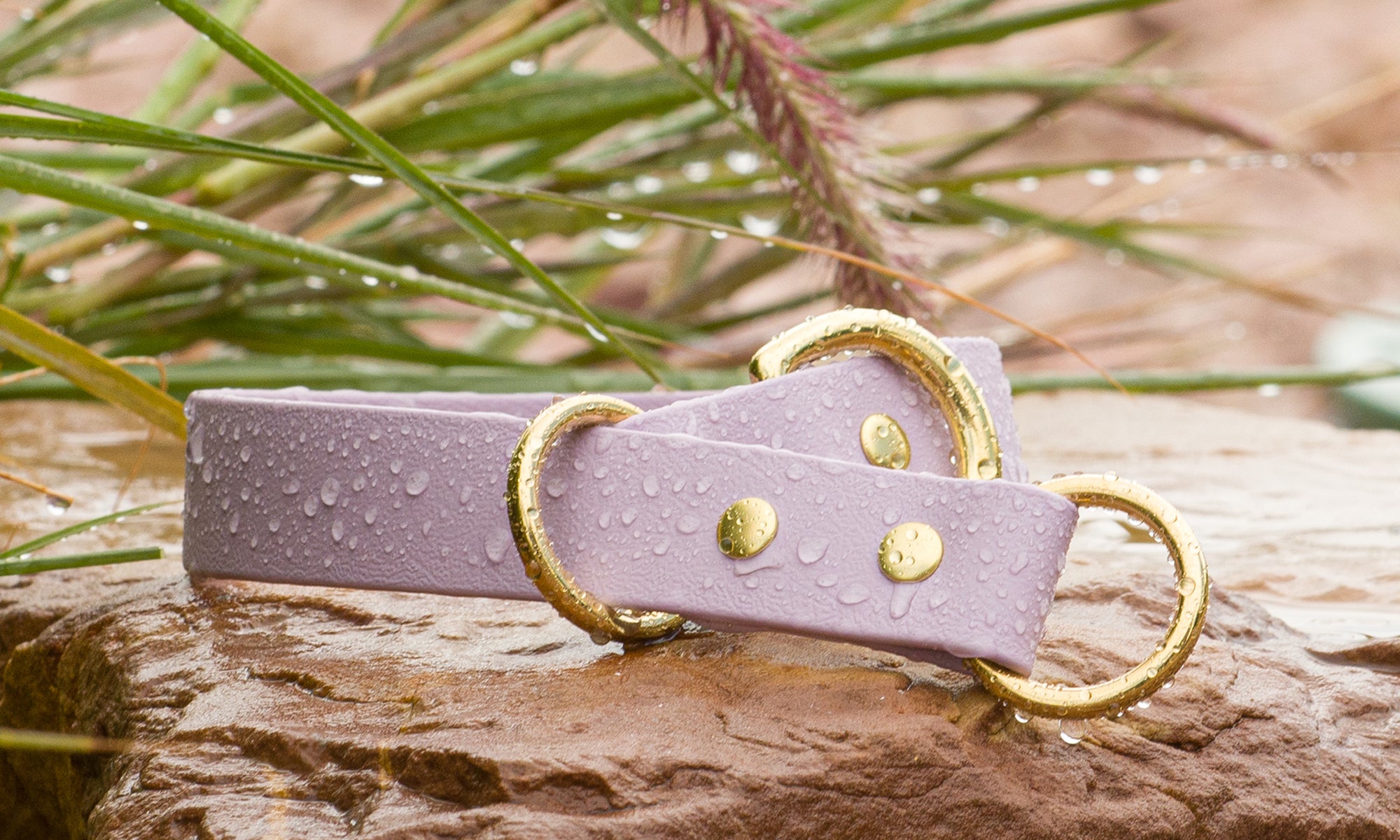 Biothane Collar vs. Leather Collar - Vivid Canine