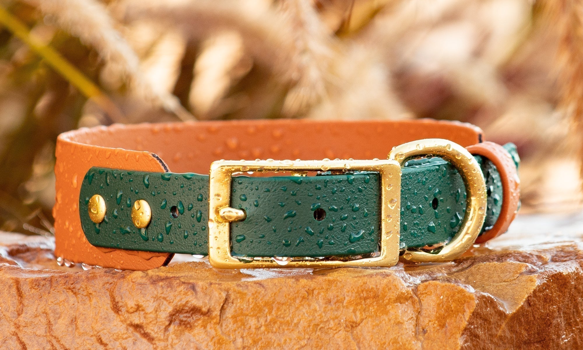 What is BioThane® Made From?